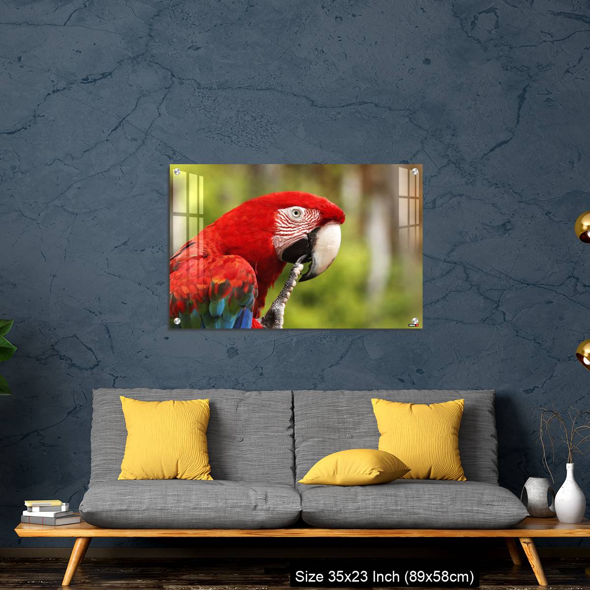 OMGs Acrylic Wall Decor – Red-and-Green Macaw, ara chloroptera, Portrait of Adult - Image 14
