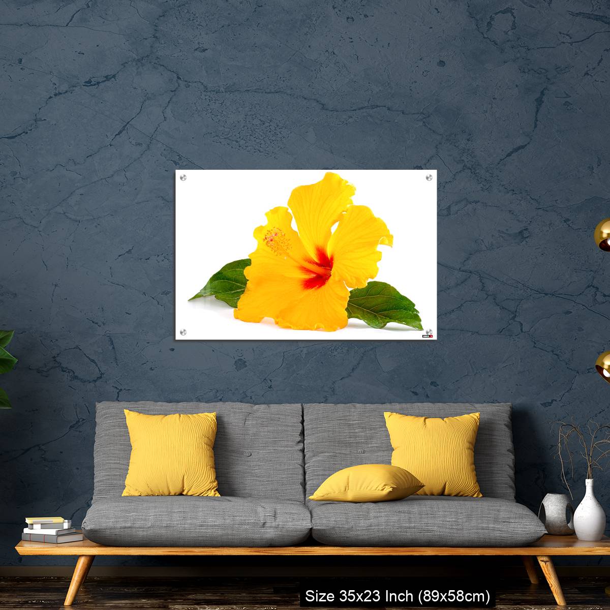 OMGs Acrylic Wall Decor – Tropical Yellow Hibiscus Flower isolated on white - Image 14