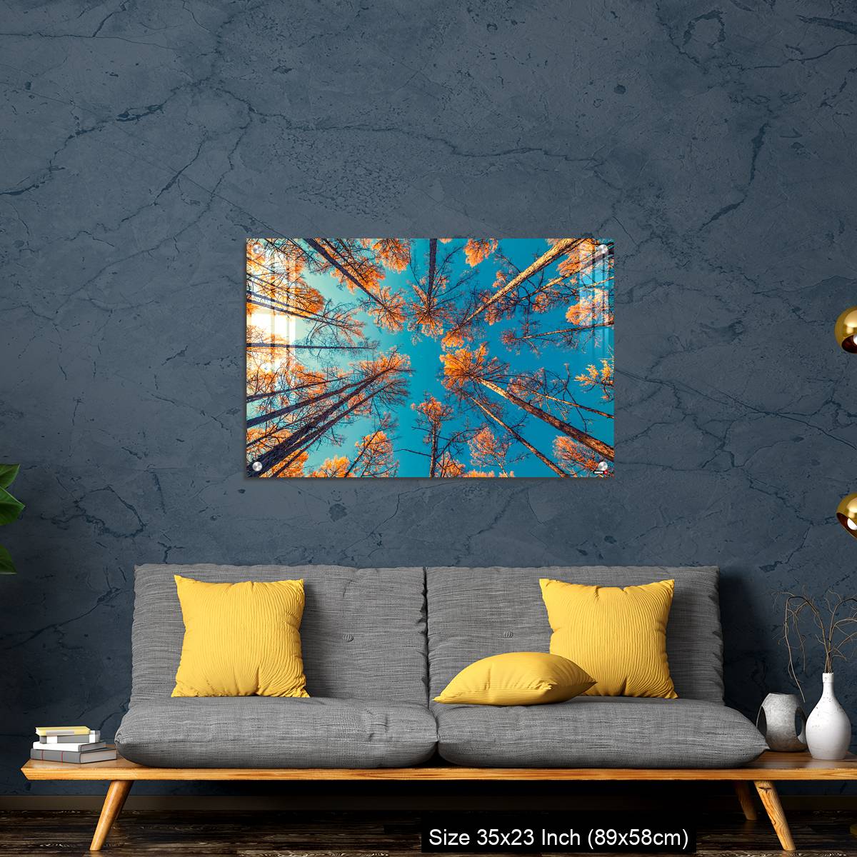 OMGs Acrylic Wall Decor – looking up at trees and clear blue sky - Image 14