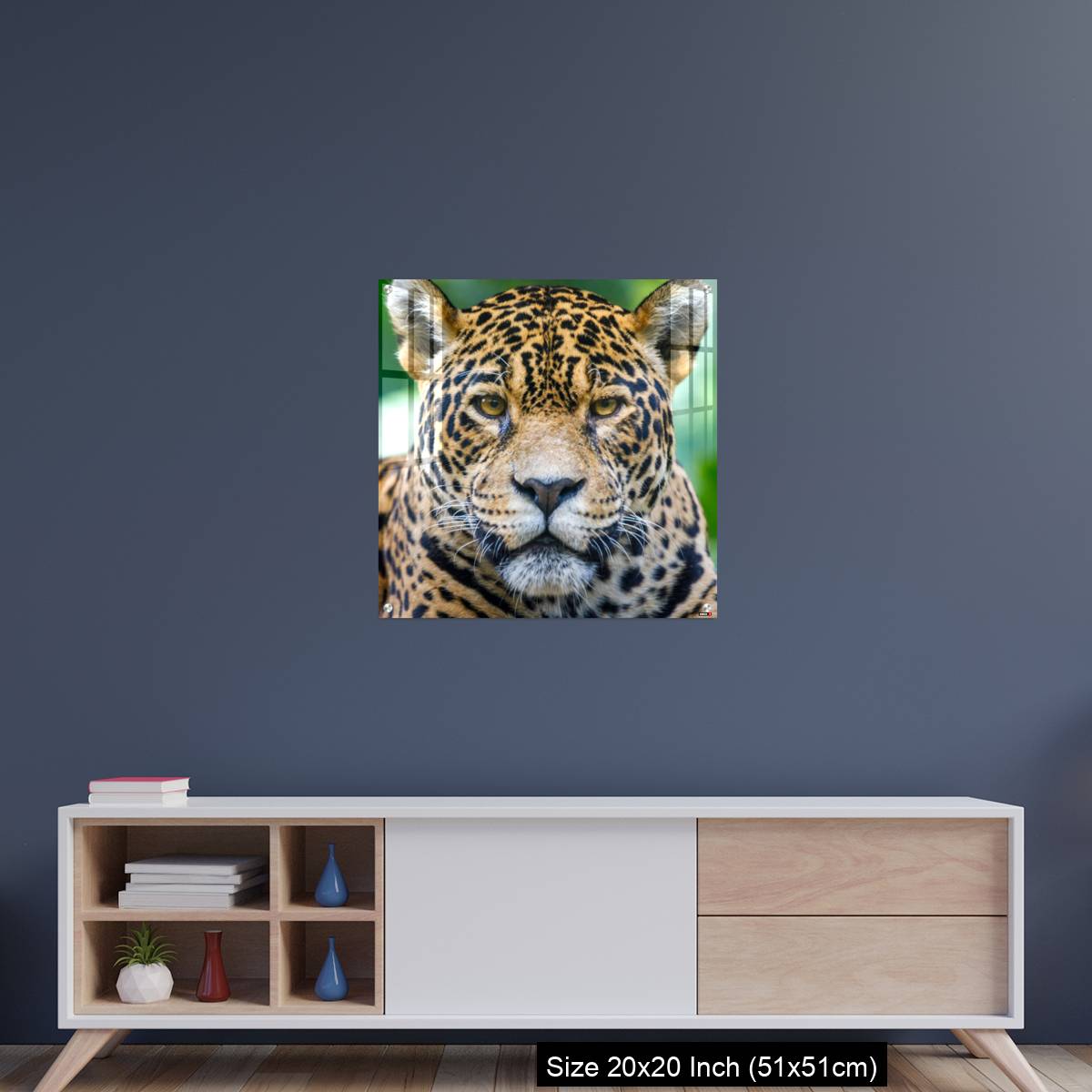 OMGs Acrylic Wall Decor – Jaguar looking at camera - Pantanal wetlands, Brazil - Image 15