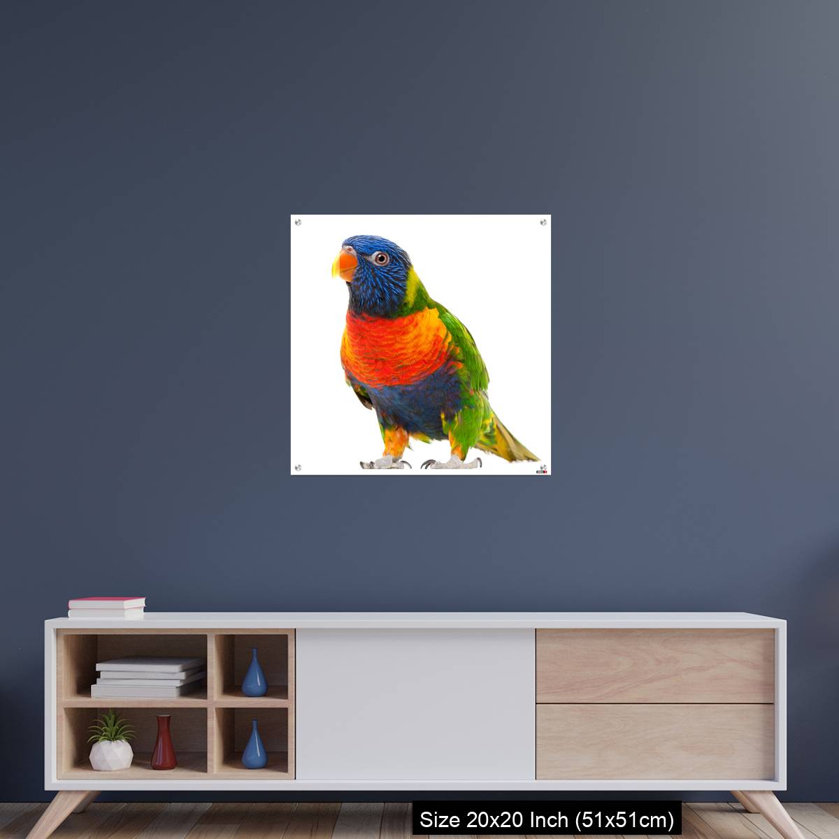 OMGs Acrylic Wall Decor – Rainbow Lorikeet, Trichoglossus haematodus - Image 15