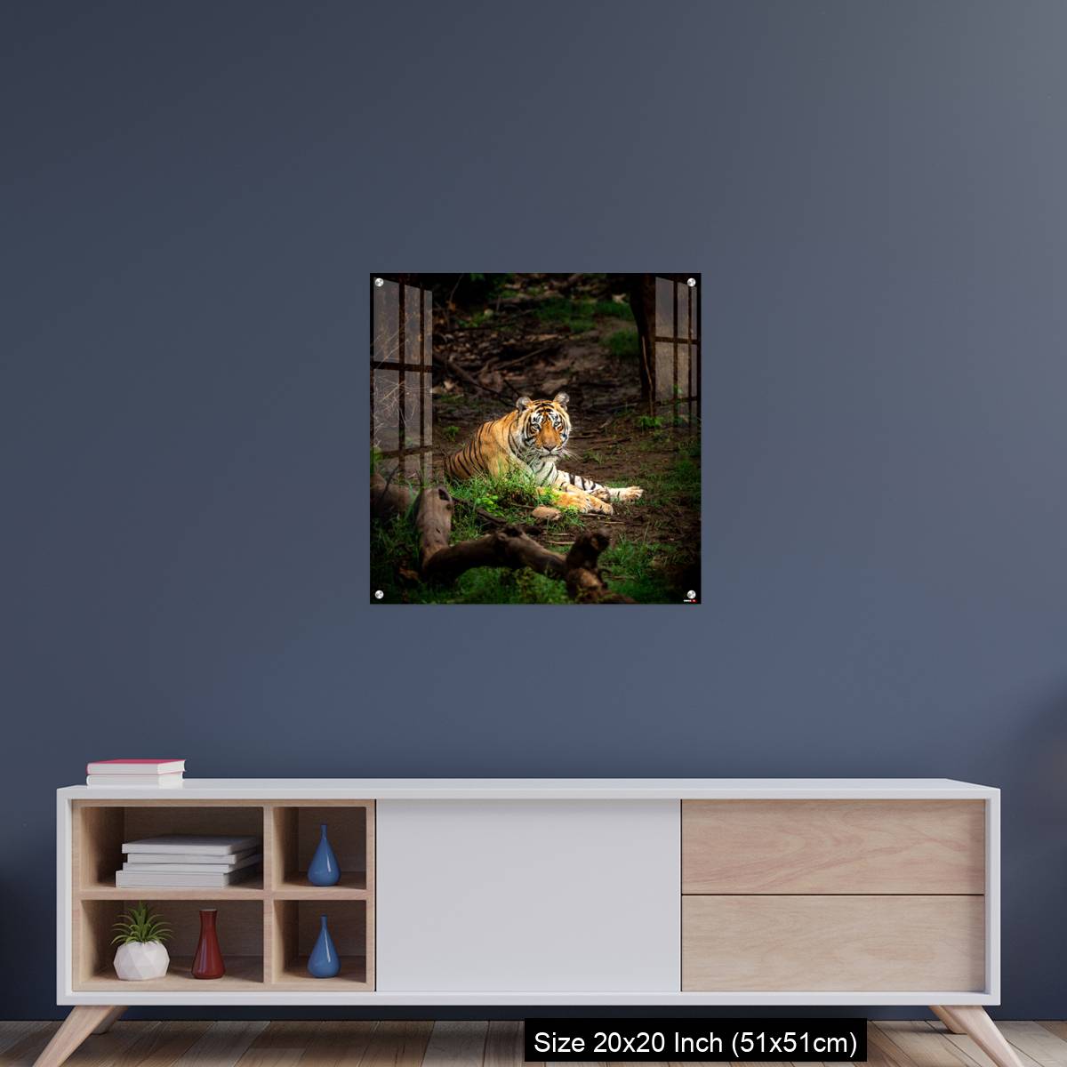 OMGs Acrylic Wall Decor – wild bengal male tiger - Image 15