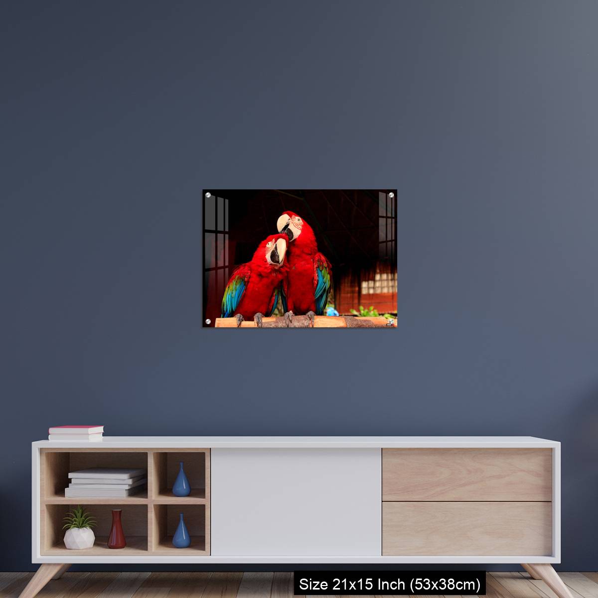 OMGs Acrylic Wall Decor – A  Macaw Bird Teasing His Friend’s Head - Image 15