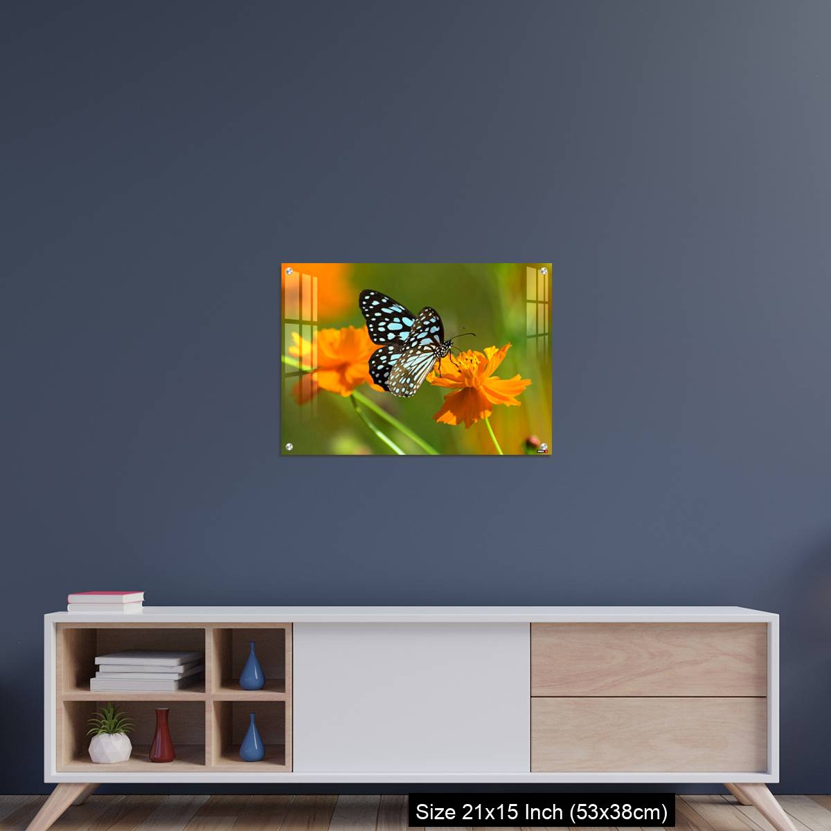 OMGs Acrylic Wall Decor – Blue tiger butterfly or Tirumala limniace on an orange flower - Image 15