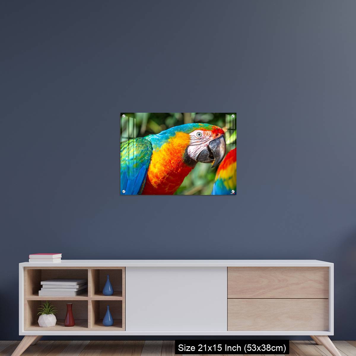 OMGs Acrylic Wall Decor – Colorful Macaw parrot looking at camera in Brazil - Image 15