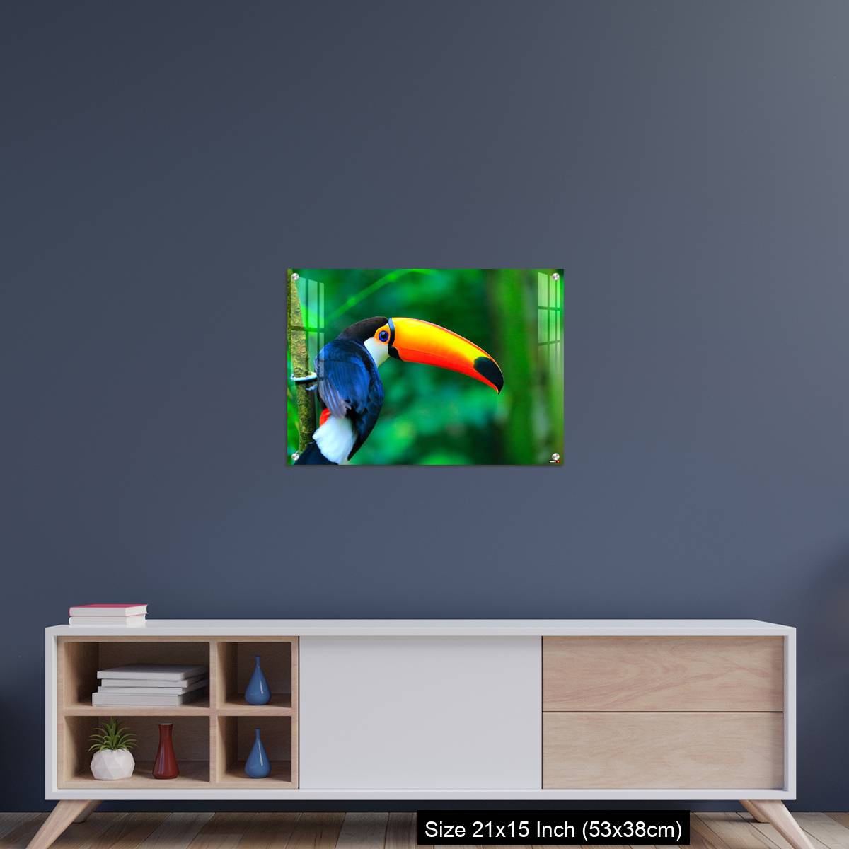 OMGs Acrylic Wall Decor – Colorful cute Toucan tropical bird - Image 15