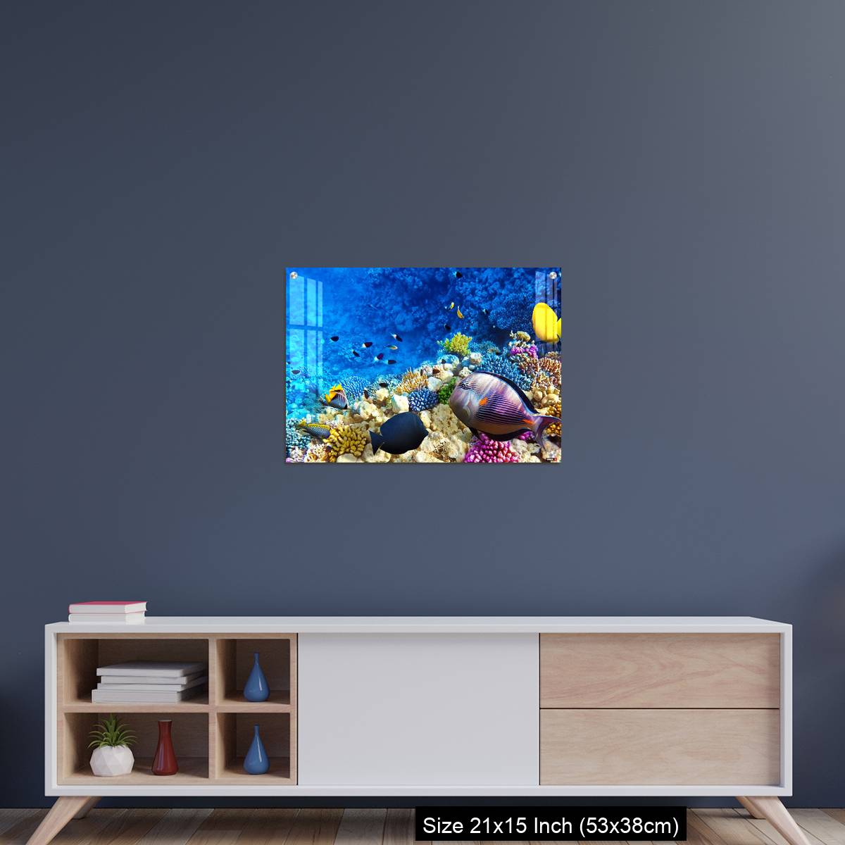 OMGs Acrylic Wall Decor – Coral and fish in the Red Sea. Egypt, Africa. - Image 15