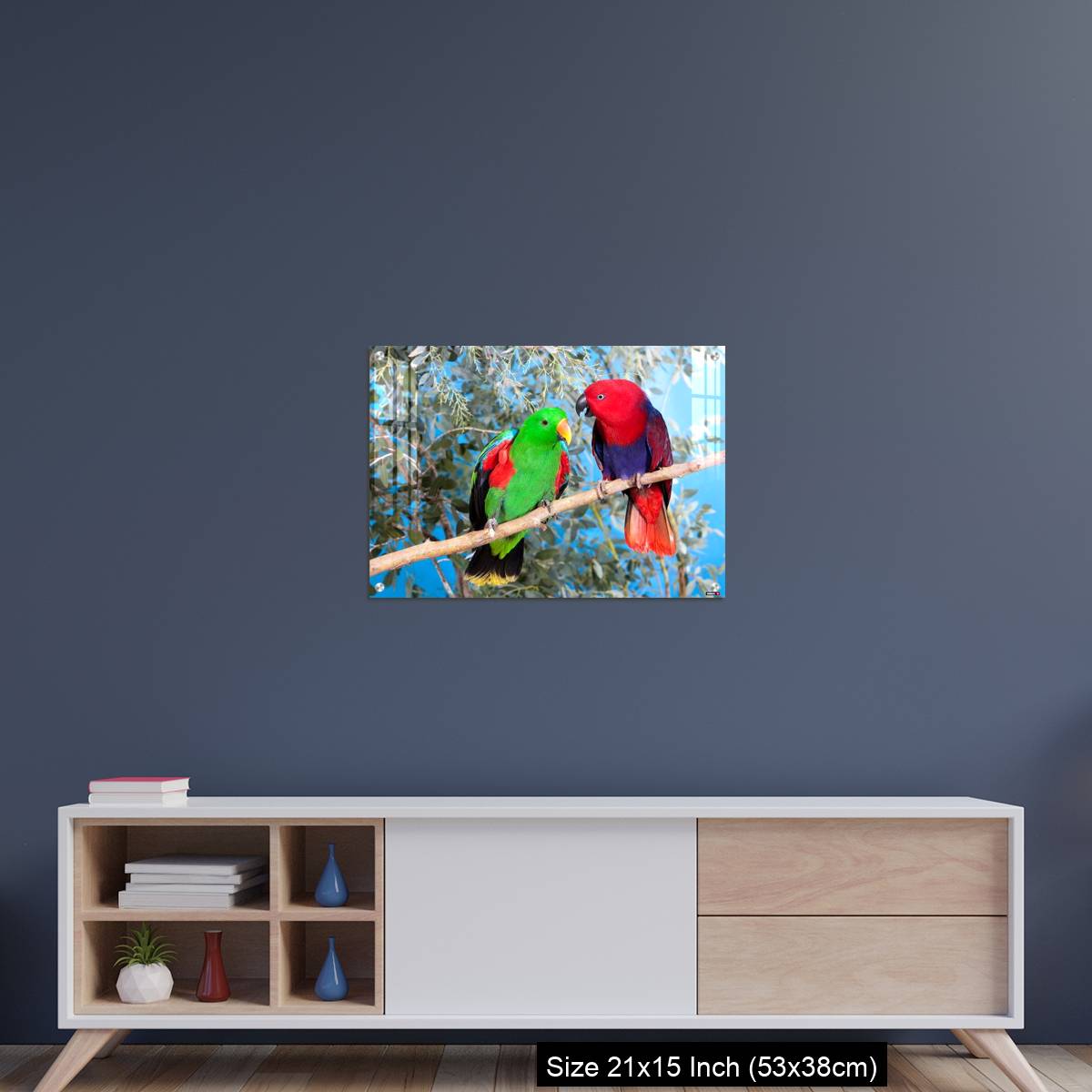 OMGs Acrylic Wall Decor – Eclectus Parrot, eclectus roratus, Pair standing on Branch, Male (green) and Female (Red) - Image 15