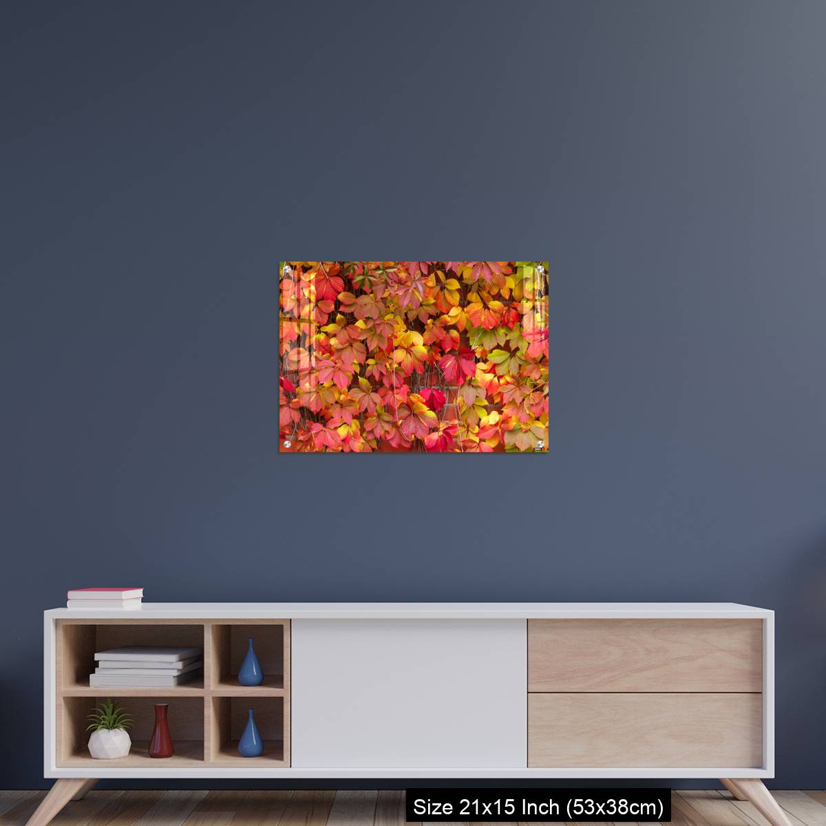 OMGs Acrylic Wall Decor – False Virginia creeper Parthenocissus inserta foliage in autumn colors - Image 15