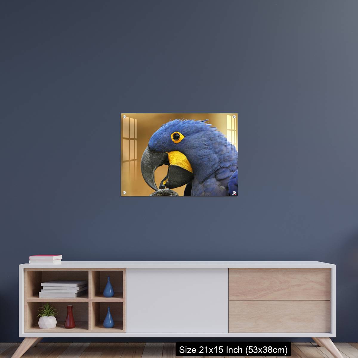 OMGs Acrylic Wall Decor – Hyacinth Macaw, anodorhynchus hyacinthinus, portrait of Adult with open Beak - Image 15