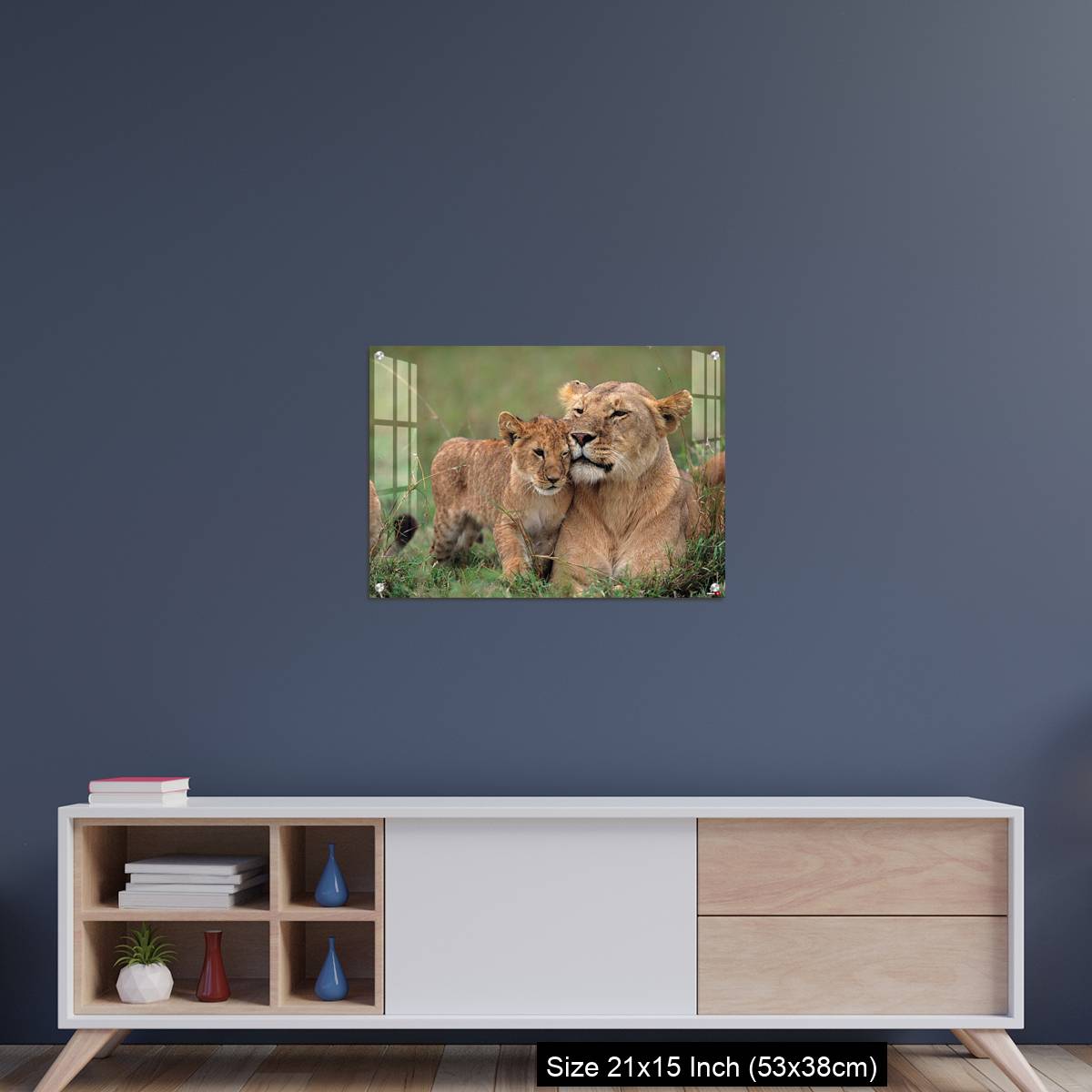 OMGs Acrylic Wall Decor – Lioness (Panthera leo) with cubs lying on grass, Kenya - Image 15