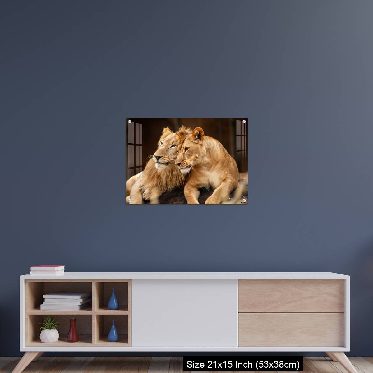 OMGs Acrylic Wall Decor – Male and Female Lions  lying down together on the ground - Image 15