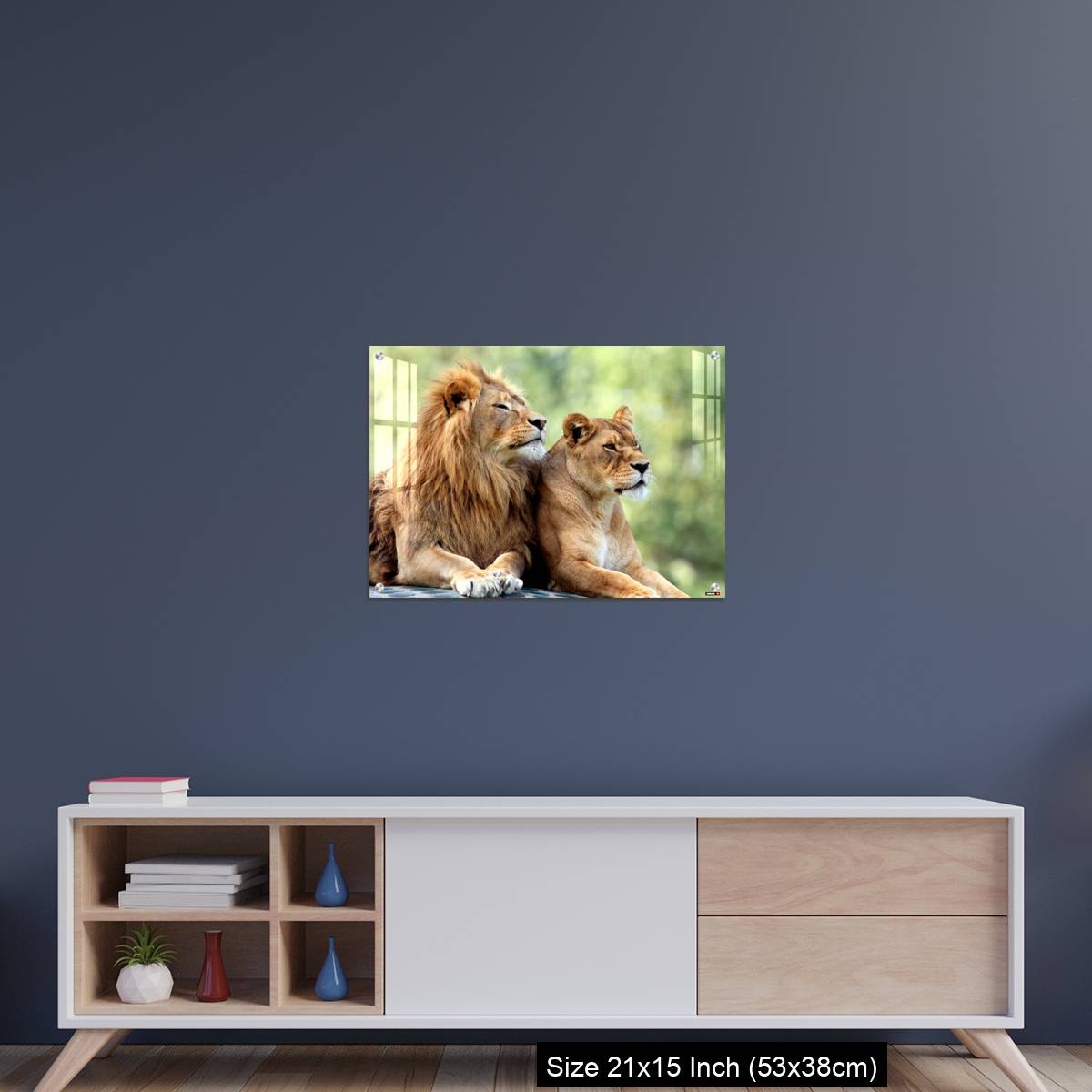 OMGs Acrylic Wall Decor – Pair of adult Lions in zoological garden - Image 15