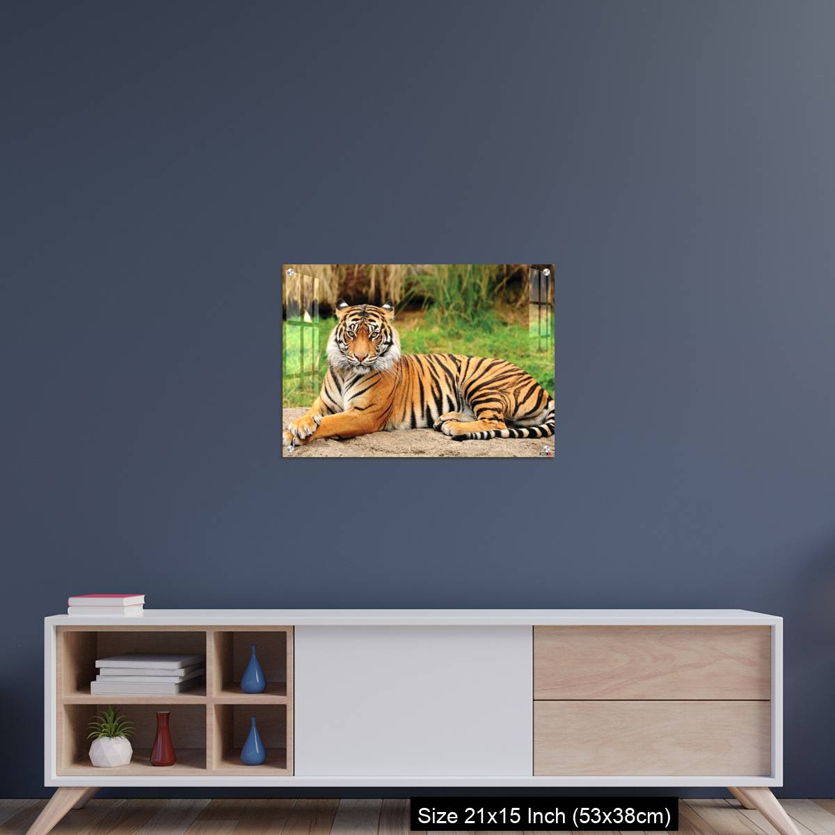 OMGs Acrylic Wall Decor – Royal Bengal Tiger alert and Staring at the Camera - Image 15
