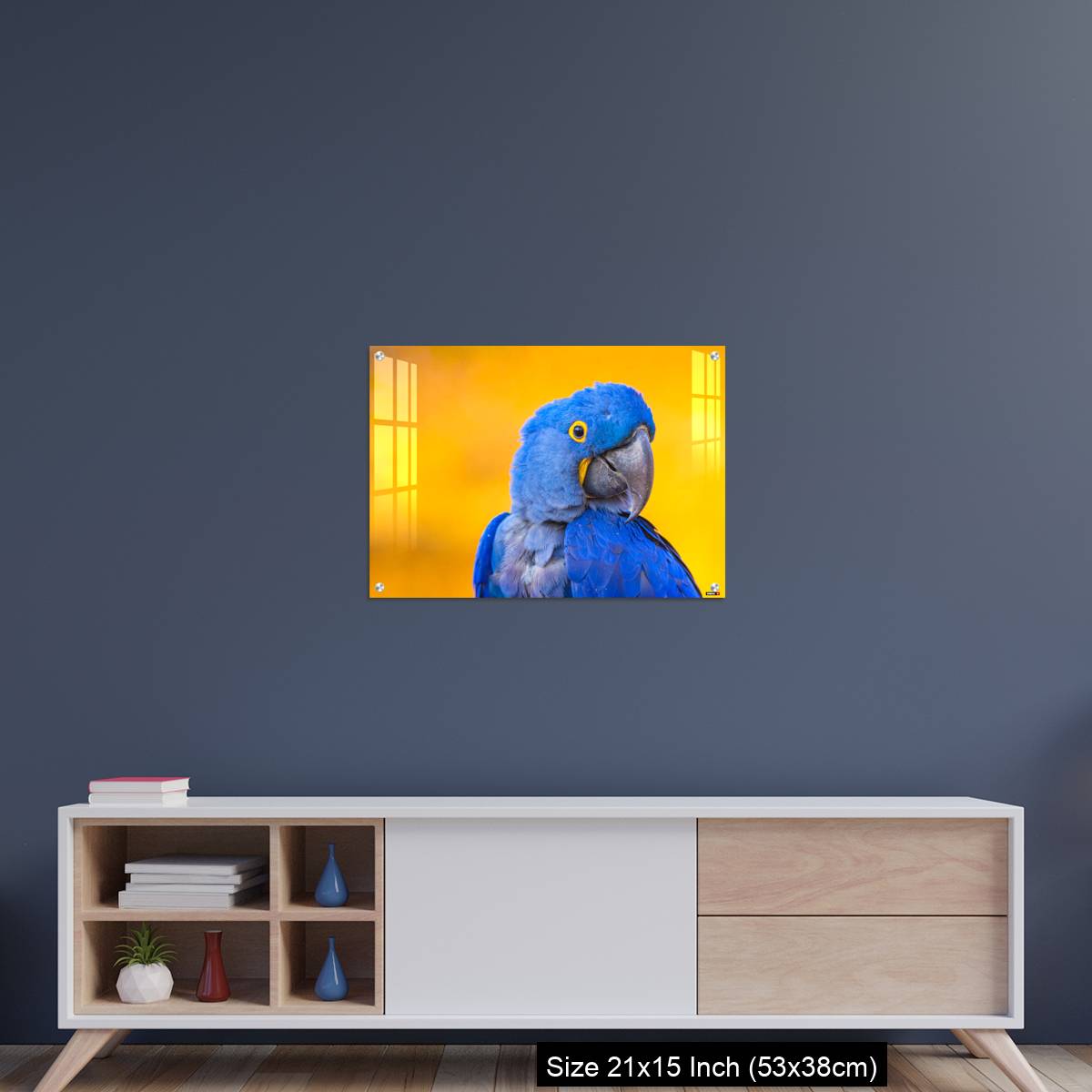 OMGs Acrylic Wall Decor – Portrait of big blue parrot Hyacinth Macaw - Image 15