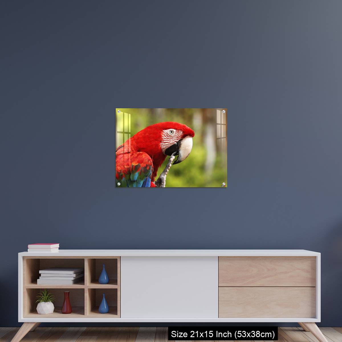 OMGs Acrylic Wall Decor – Red-and-Green Macaw, ara chloroptera, Portrait of Adult - Image 15