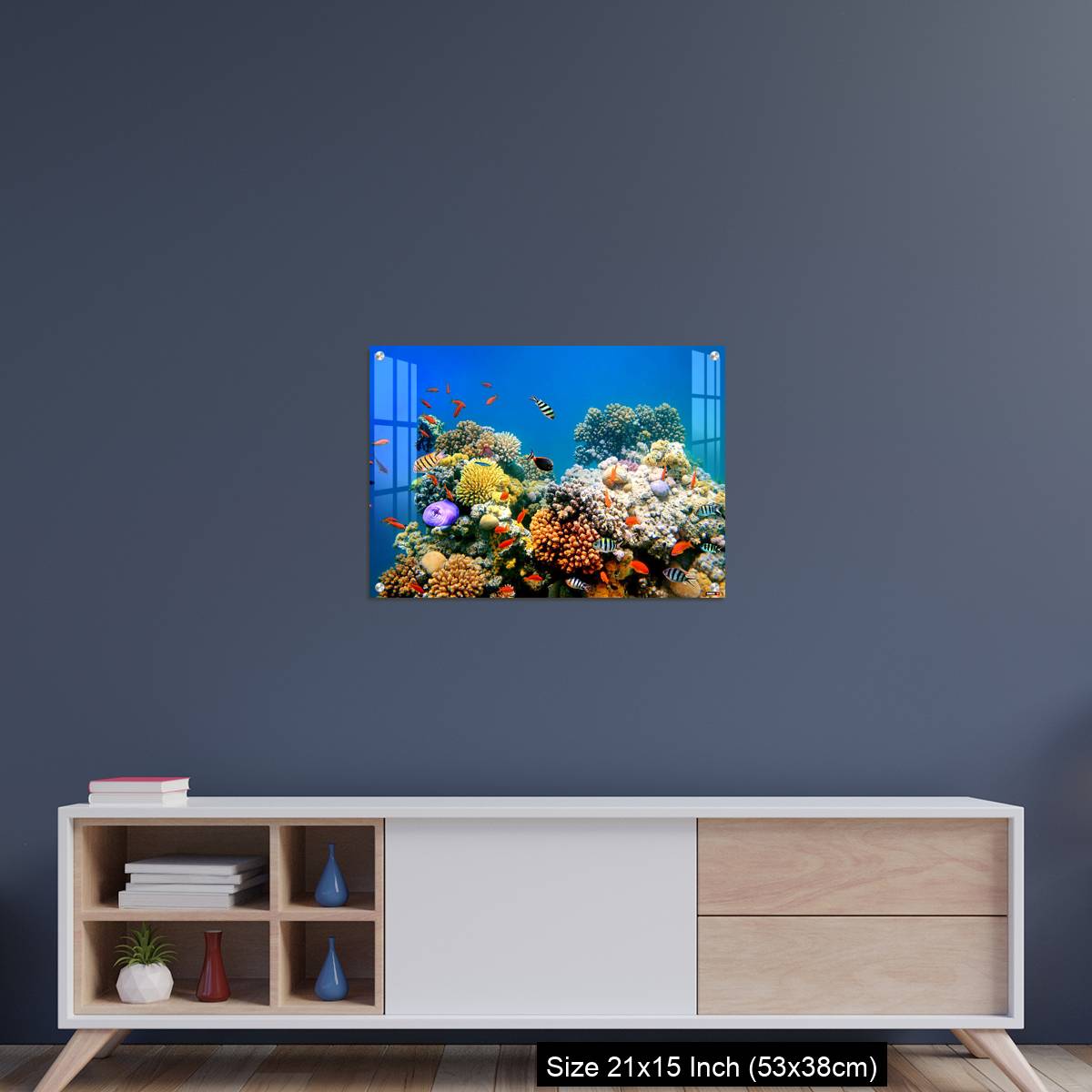 OMGs Acrylic Wall Decor – Tropical Fish on a coral reef - Image 15
