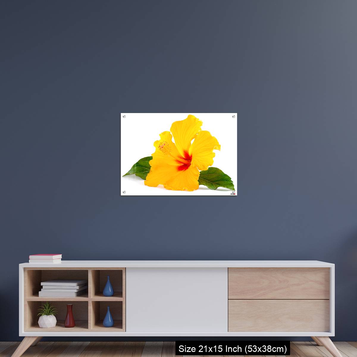 OMGs Acrylic Wall Decor – Tropical Yellow Hibiscus Flower isolated on white - Image 15