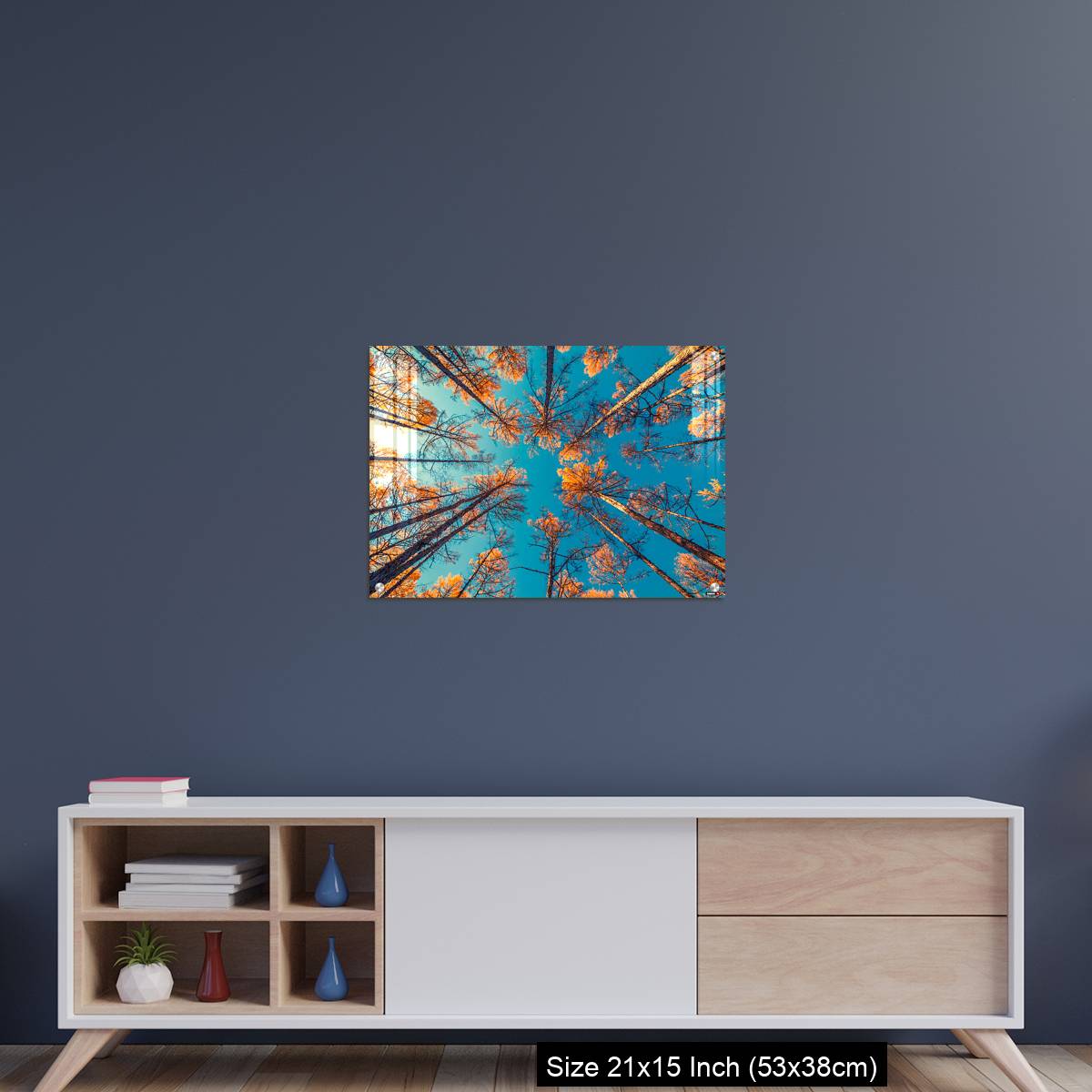 OMGs Acrylic Wall Decor – looking up at trees and clear blue sky - Image 15