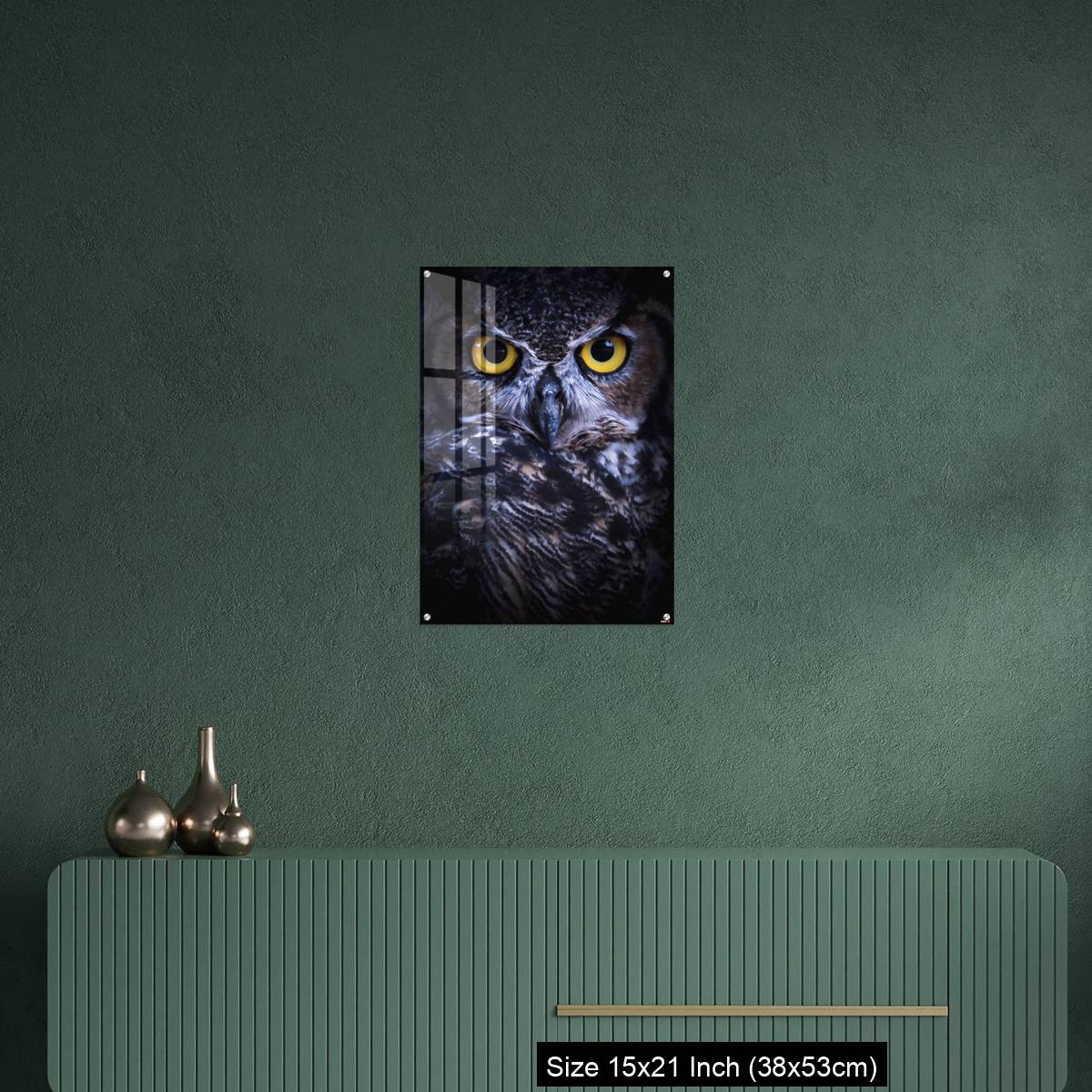 OMGs Acrylic Wall Decor – Intense Eye Contact from a Great-Horned Owl - Image 16