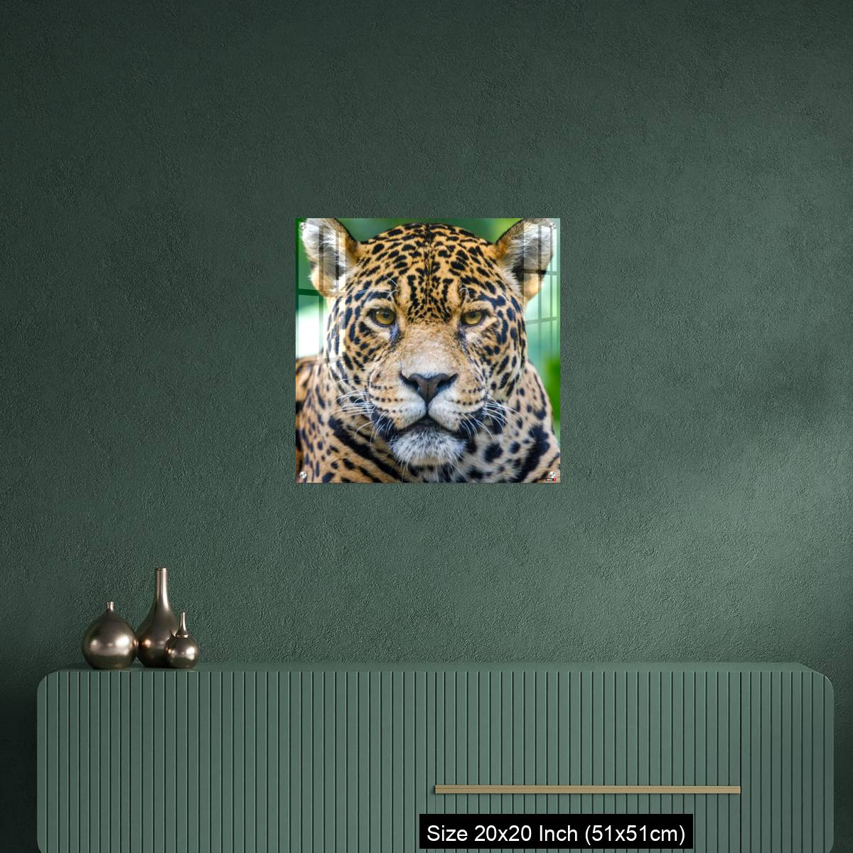 OMGs Acrylic Wall Decor – Jaguar looking at camera - Pantanal wetlands, Brazil - Image 16