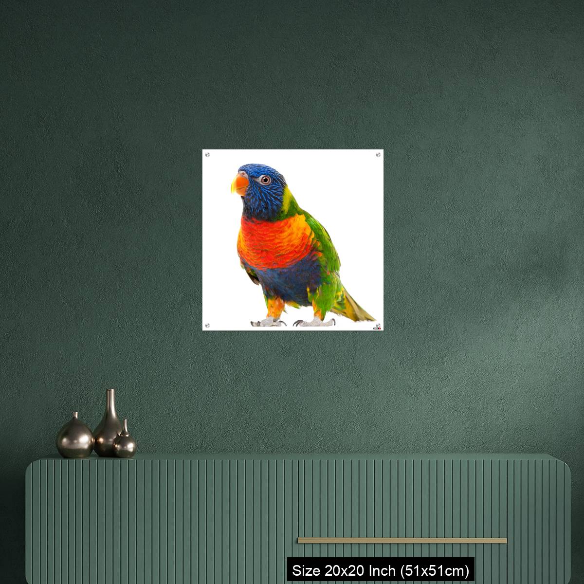 OMGs Acrylic Wall Decor – Rainbow Lorikeet, Trichoglossus haematodus - Image 16