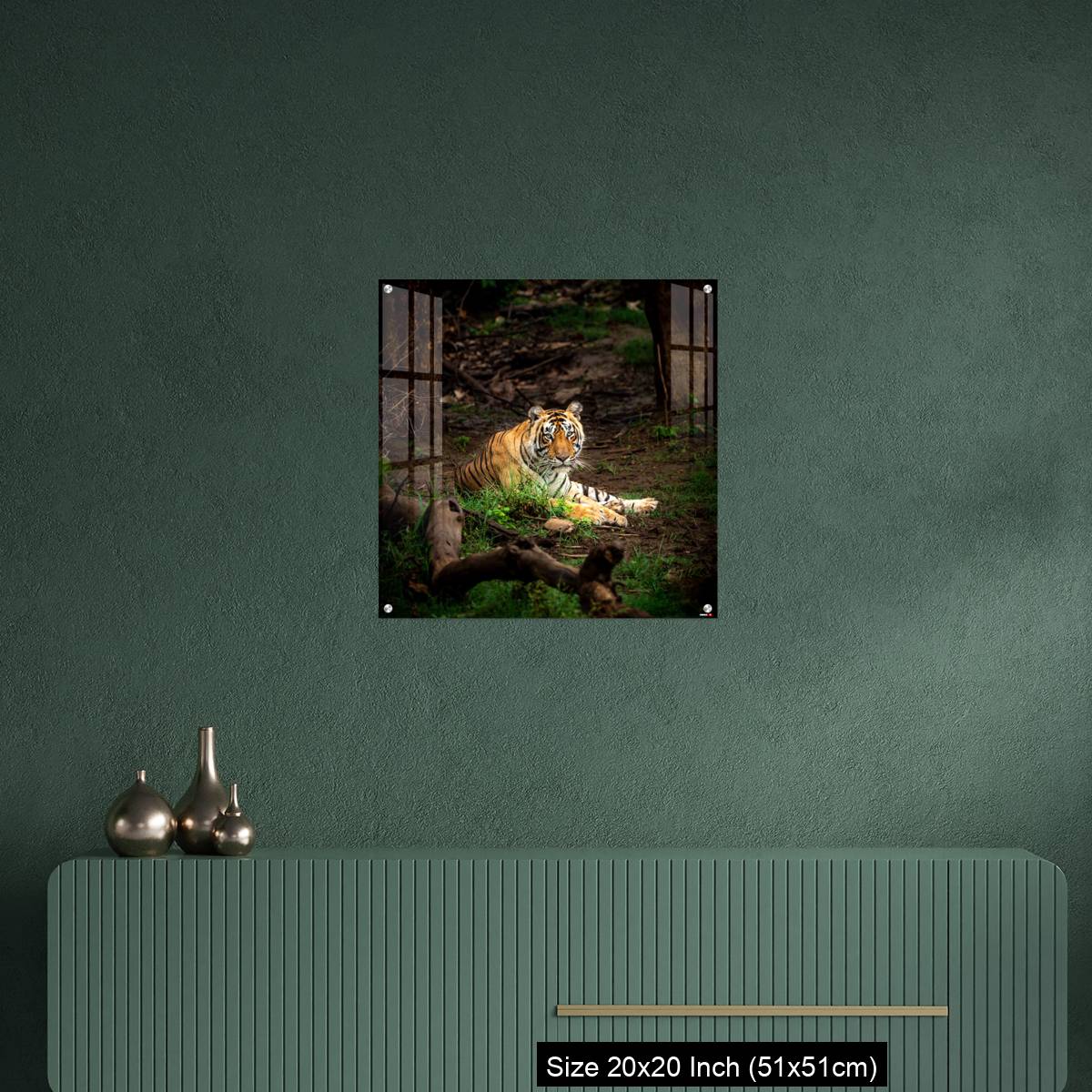 OMGs Acrylic Wall Decor – wild bengal male tiger - Image 16