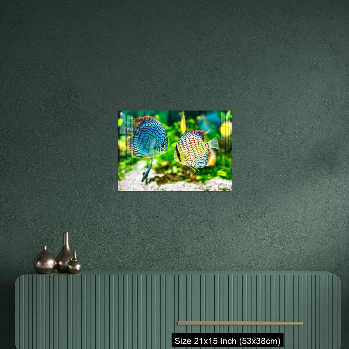 OMGs Acrylic Wall Decor – Aquarium displaying two tropical fish symphsodon discus - Image 16