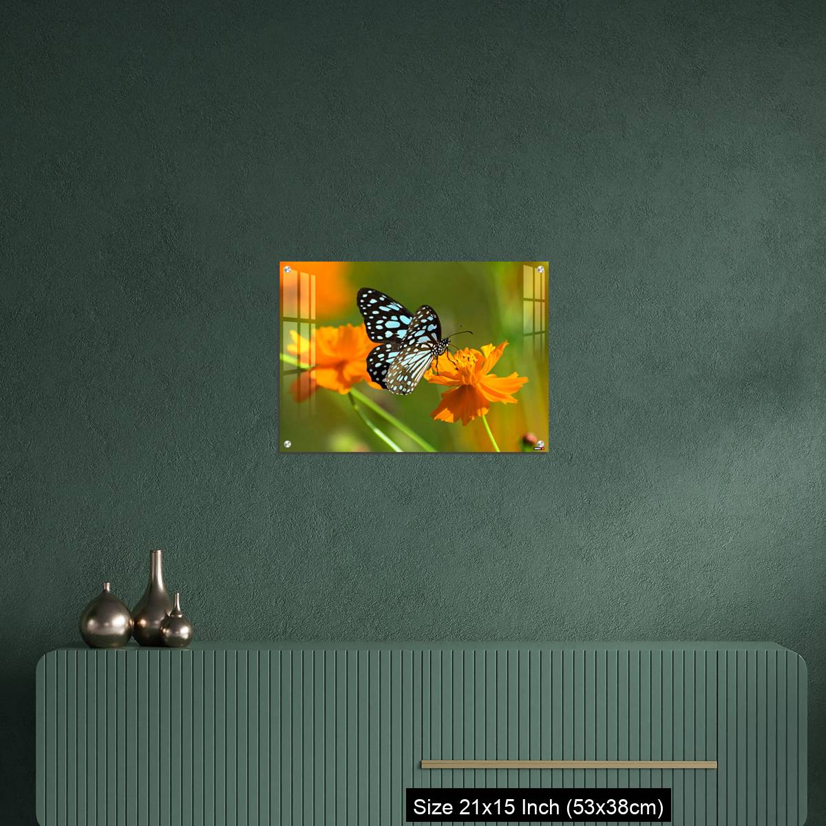 OMGs Acrylic Wall Decor – Blue tiger butterfly or Tirumala limniace on an orange flower - Image 16