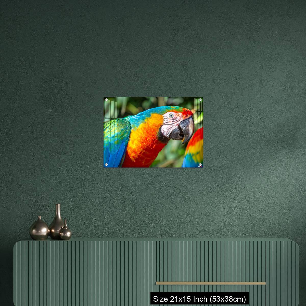 OMGs Acrylic Wall Decor – Colorful Macaw parrot looking at camera in Brazil - Image 16