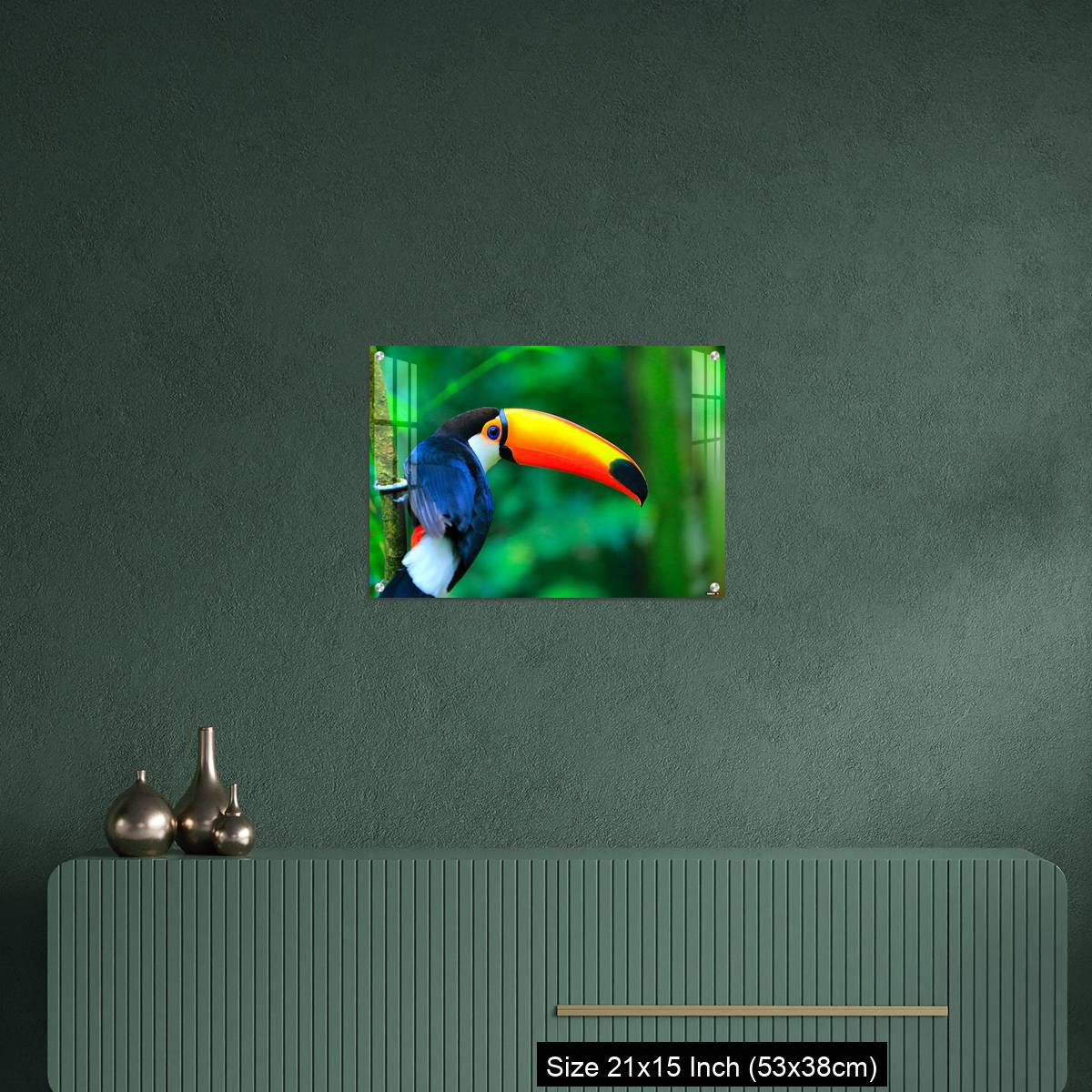 OMGs Acrylic Wall Decor – Colorful cute Toucan tropical bird - Image 16