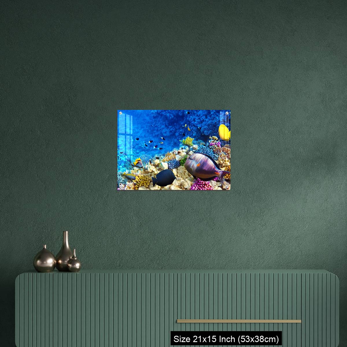 OMGs Acrylic Wall Decor – Coral and fish in the Red Sea. Egypt, Africa. - Image 16