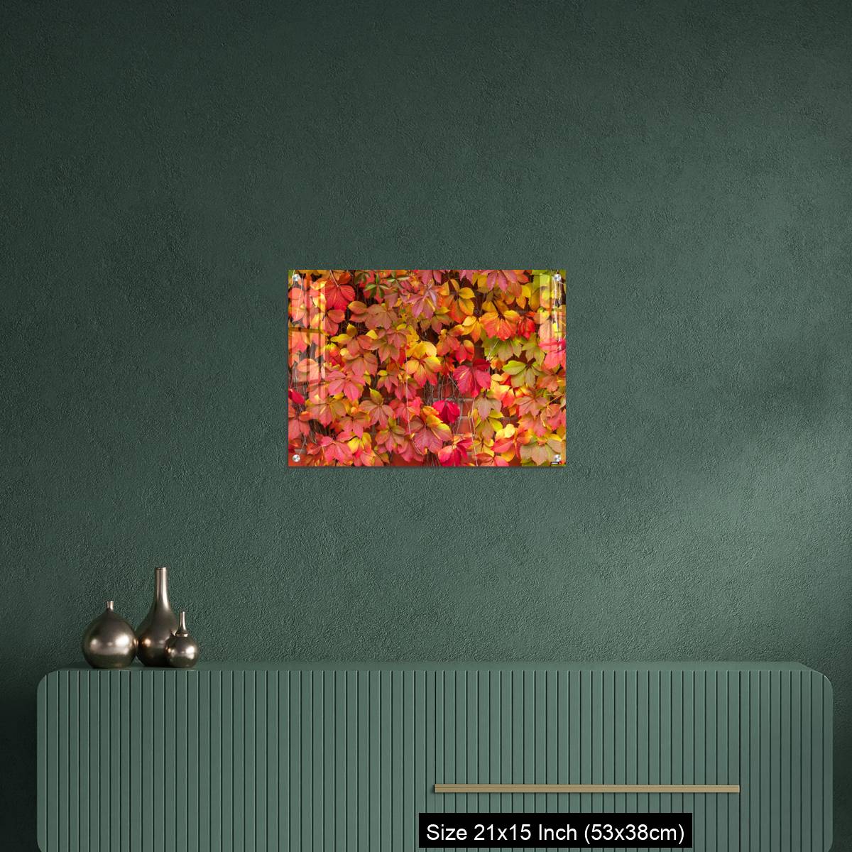 OMGs Acrylic Wall Decor – False Virginia creeper Parthenocissus inserta foliage in autumn colors - Image 16