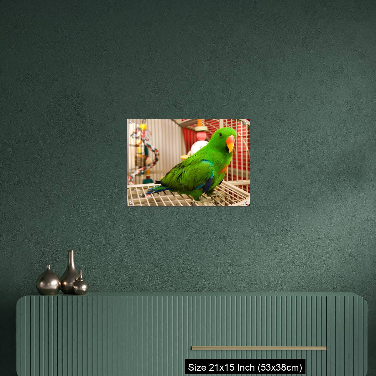 OMGs Acrylic Wall Decor – Green parrot perched on the open door of its cage - Image 16