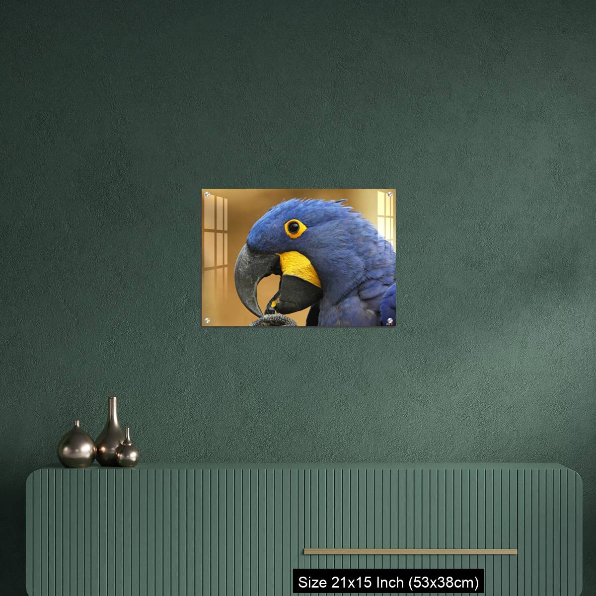 OMGs Acrylic Wall Decor – Hyacinth Macaw, anodorhynchus hyacinthinus, portrait of Adult with open Beak - Image 16