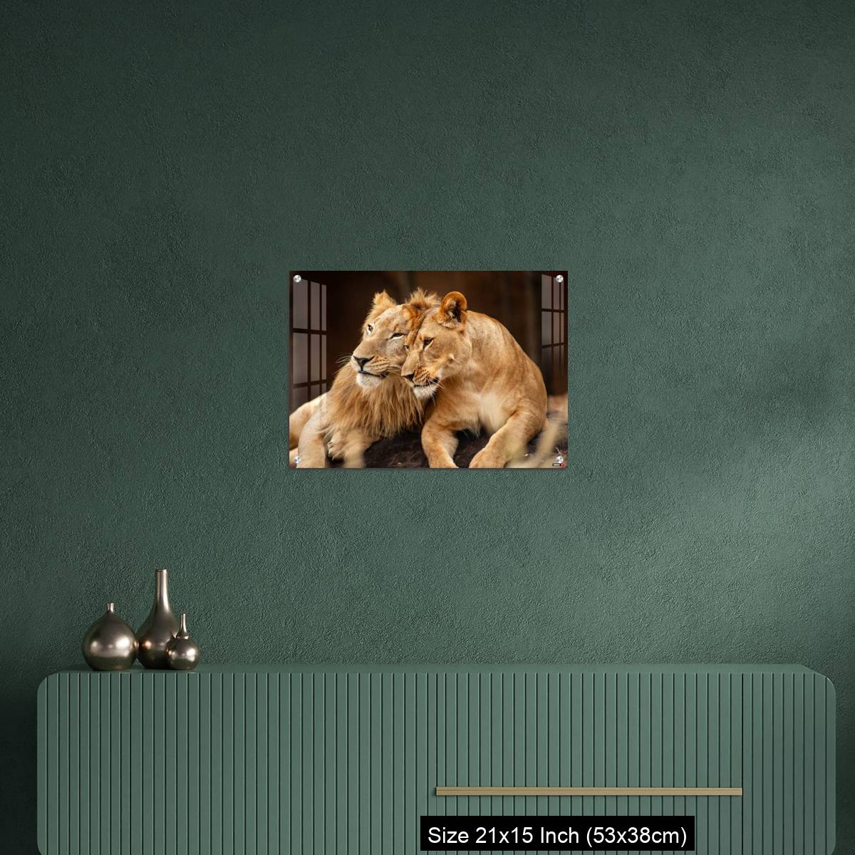 OMGs Acrylic Wall Decor – Male and Female Lions  lying down together on the ground - Image 16
