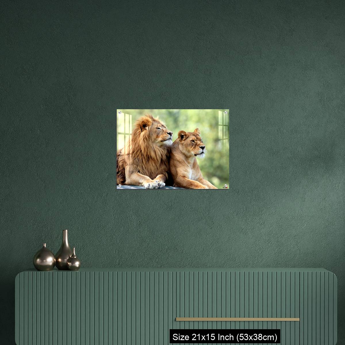OMGs Acrylic Wall Decor – Pair of adult Lions in zoological garden - Image 16