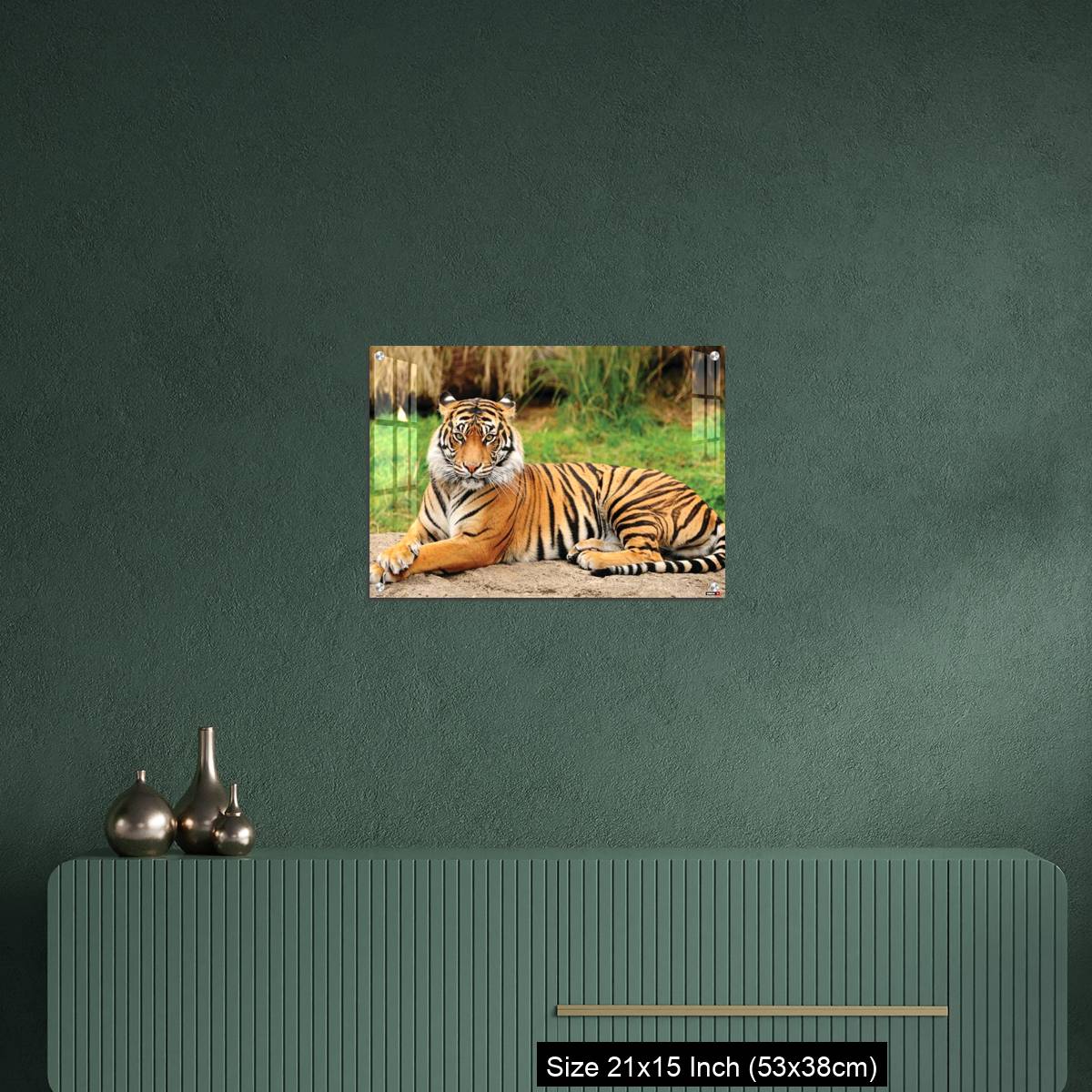 OMGs Acrylic Wall Decor – Royal Bengal Tiger alert and Staring at the Camera - Image 16