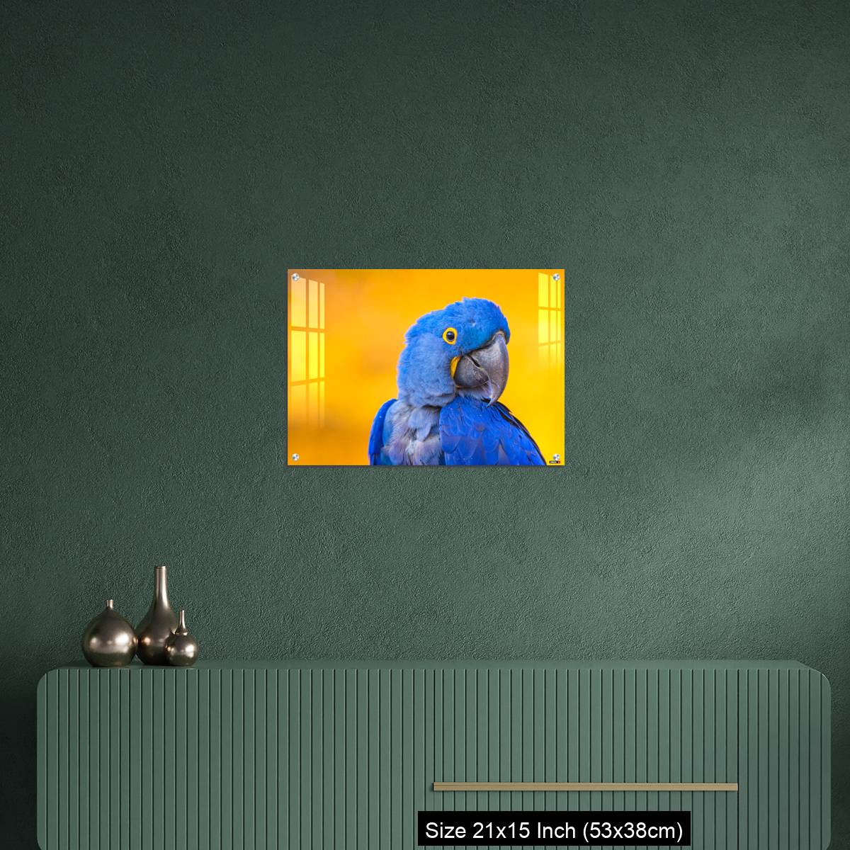 OMGs Acrylic Wall Decor – Portrait of big blue parrot Hyacinth Macaw - Image 16