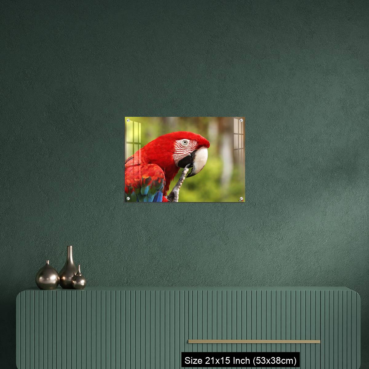OMGs Acrylic Wall Decor – Red-and-Green Macaw, ara chloroptera, Portrait of Adult - Image 16