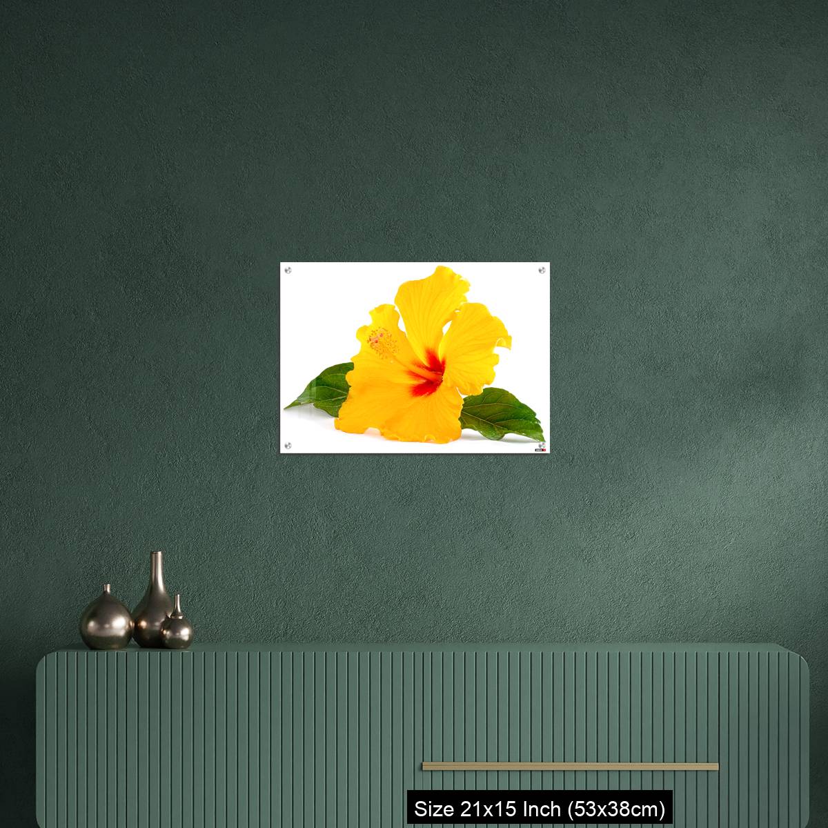 OMGs Acrylic Wall Decor – Tropical Yellow Hibiscus Flower isolated on white - Image 16