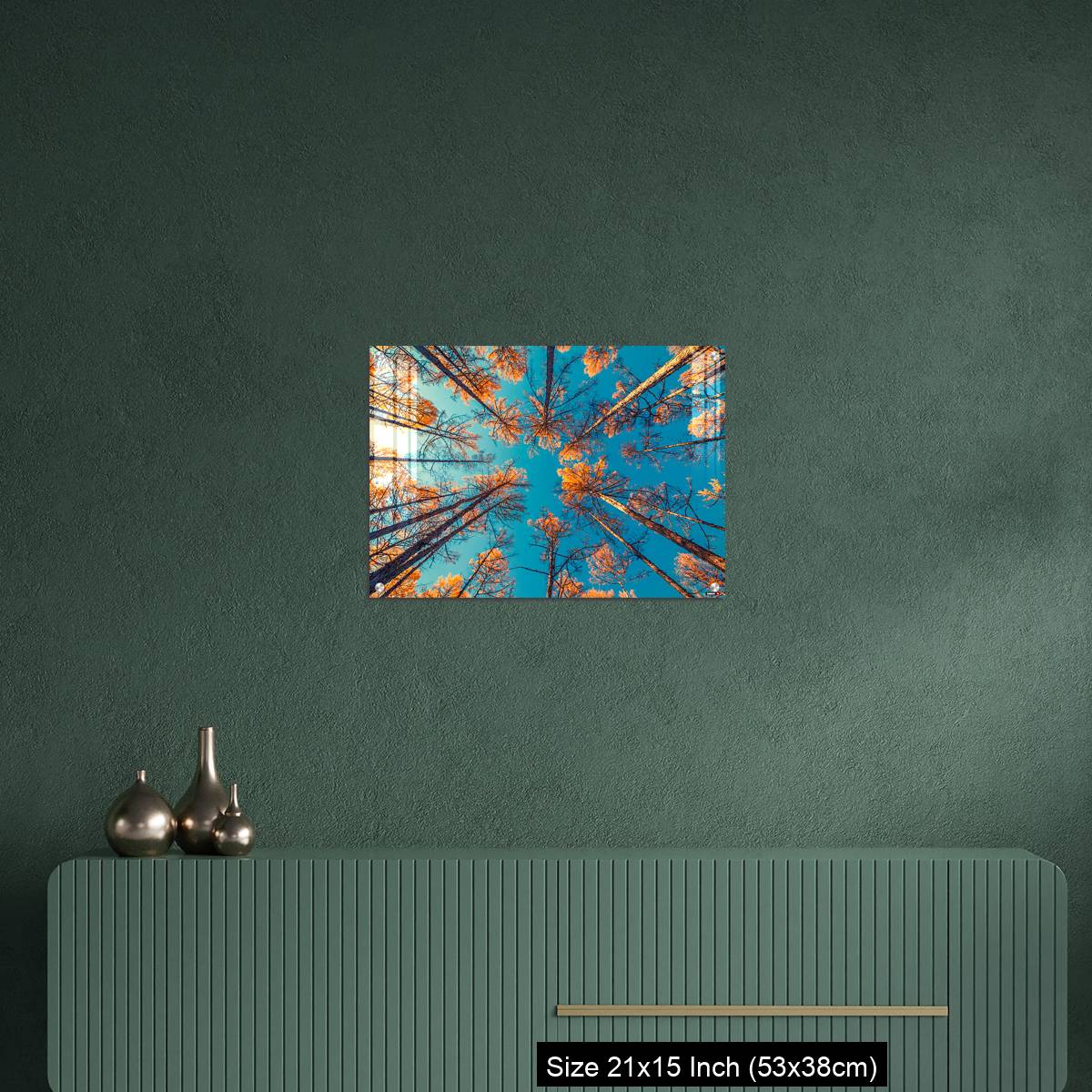 OMGs Acrylic Wall Decor – looking up at trees and clear blue sky - Image 16