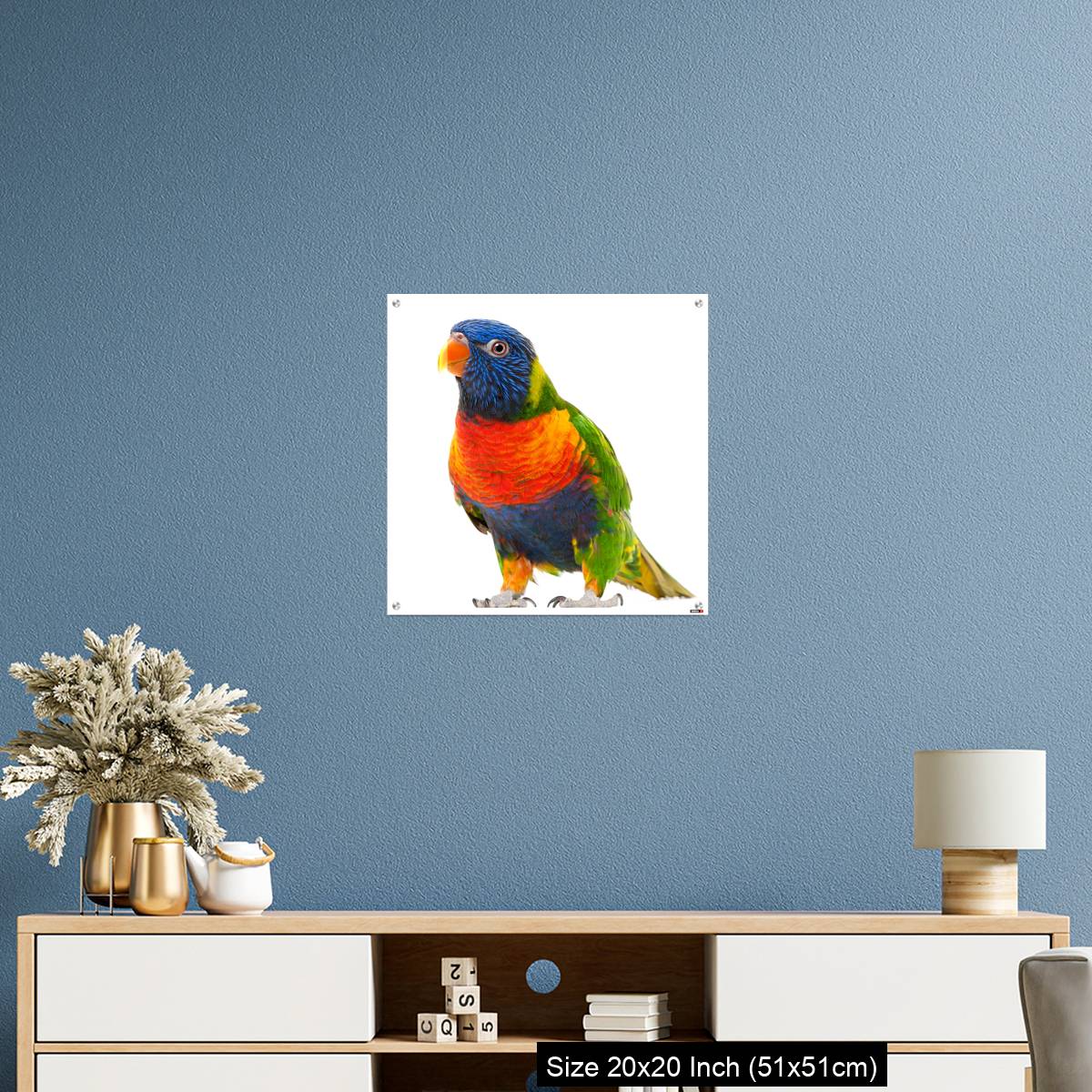 OMGs Acrylic Wall Decor – Rainbow Lorikeet, Trichoglossus haematodus - Image 17