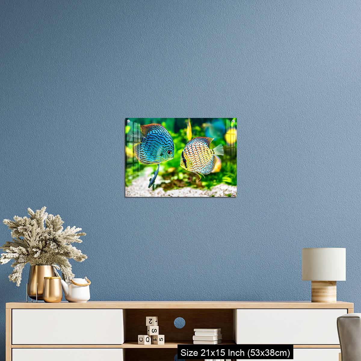 OMGs Acrylic Wall Decor – Aquarium displaying two tropical fish symphsodon discus - Image 17