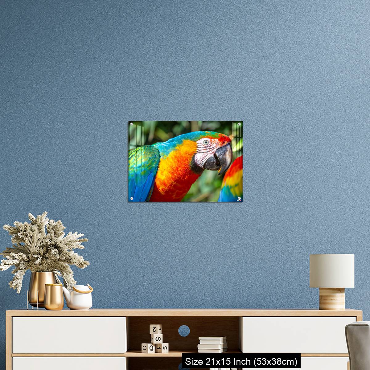 OMGs Acrylic Wall Decor – Colorful Macaw parrot looking at camera in Brazil - Image 17