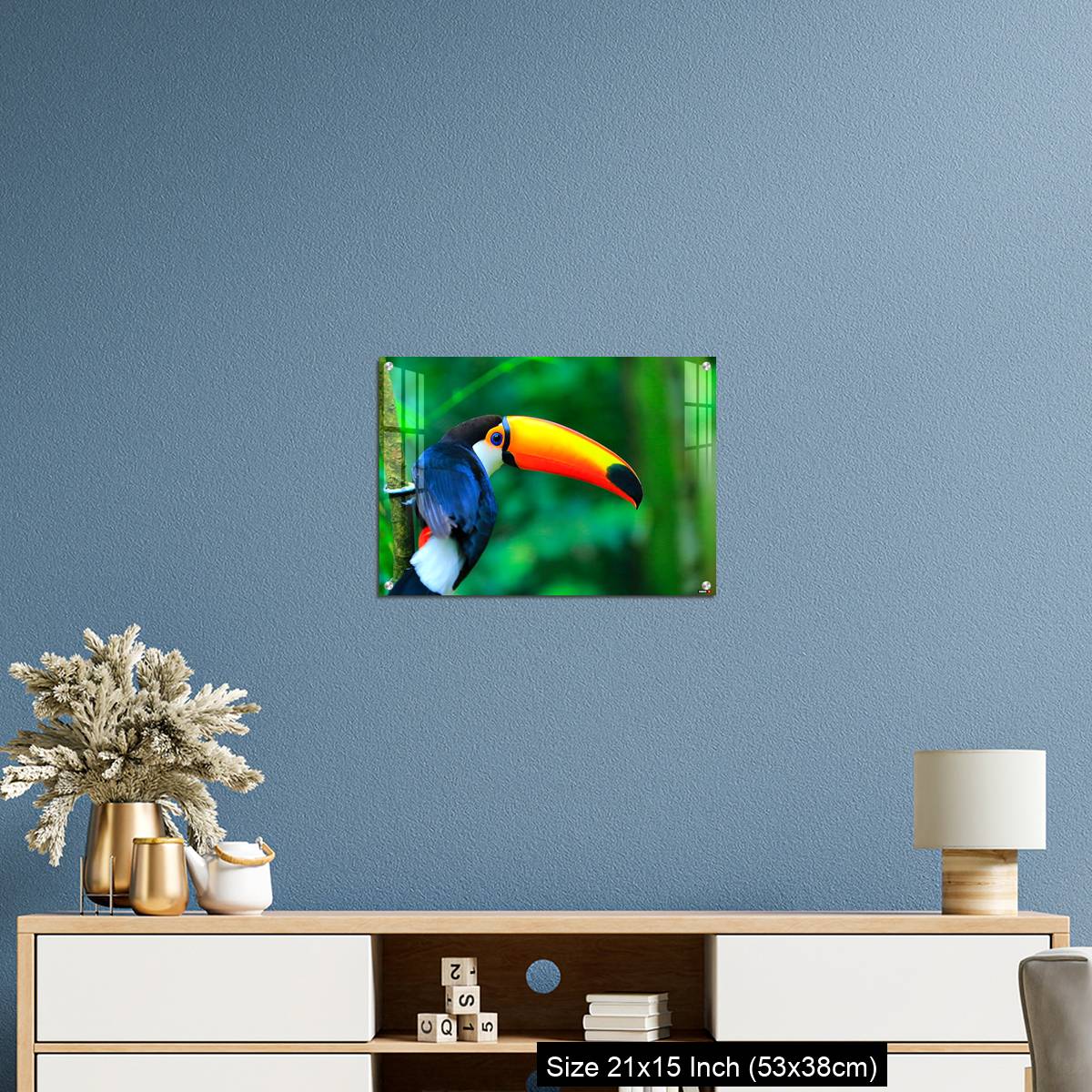 OMGs Acrylic Wall Decor – Colorful cute Toucan tropical bird - Image 17