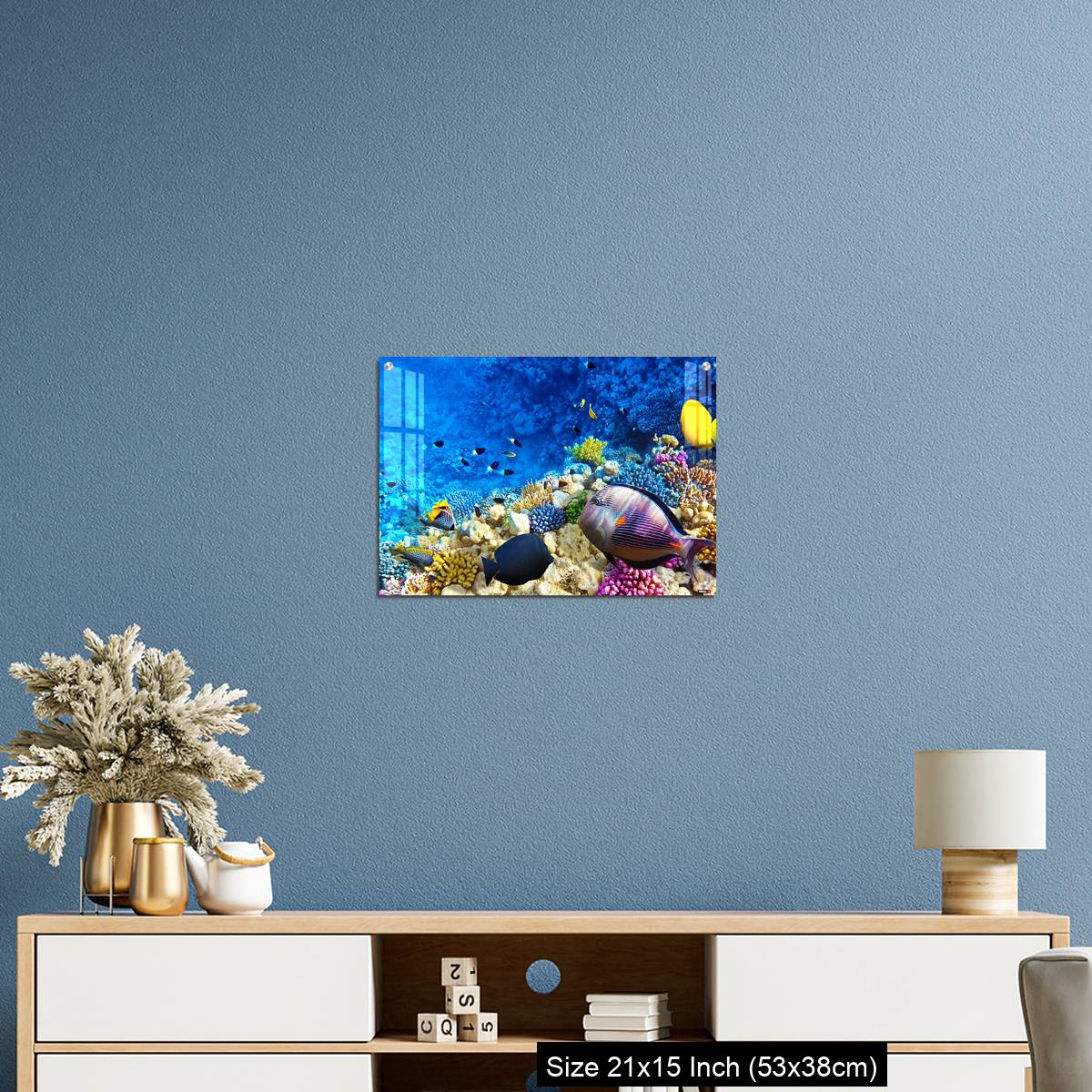 OMGs Acrylic Wall Decor – Coral and fish in the Red Sea. Egypt, Africa. - Image 17