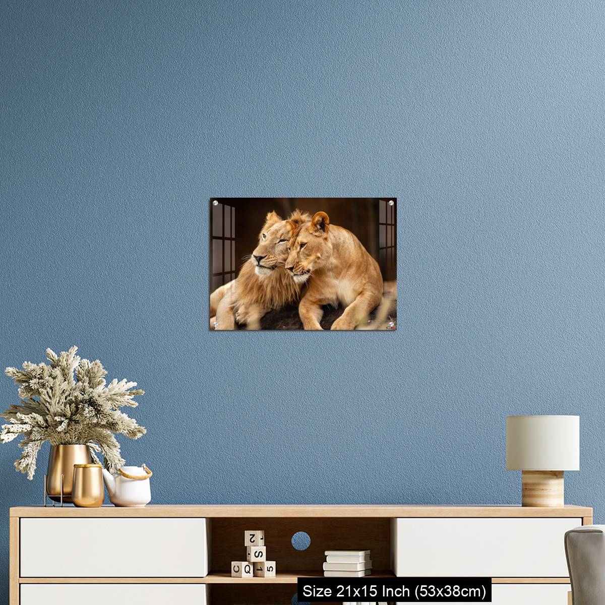 OMGs Acrylic Wall Decor – Male and Female Lions  lying down together on the ground - Image 17