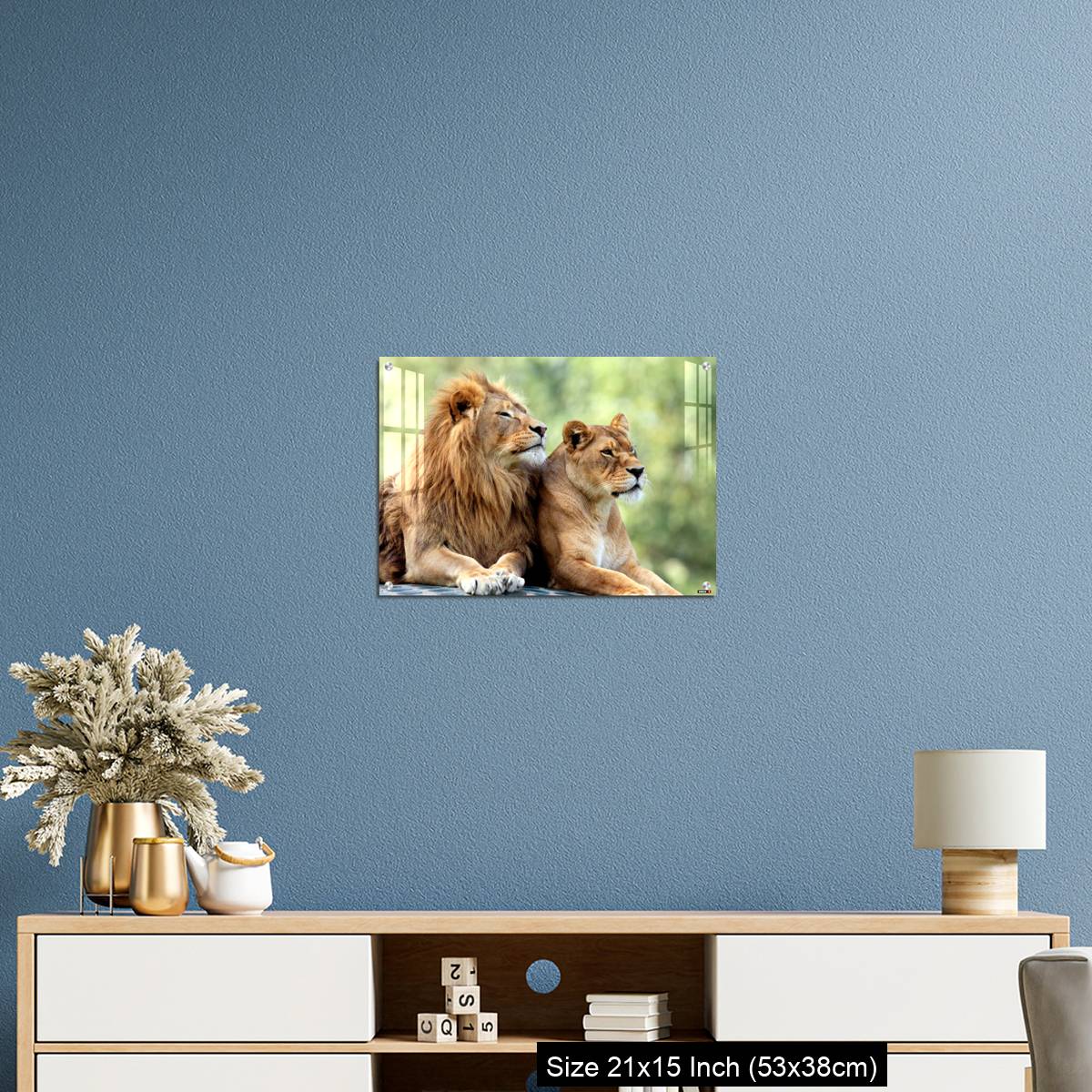 OMGs Acrylic Wall Decor – Pair of adult Lions in zoological garden - Image 17