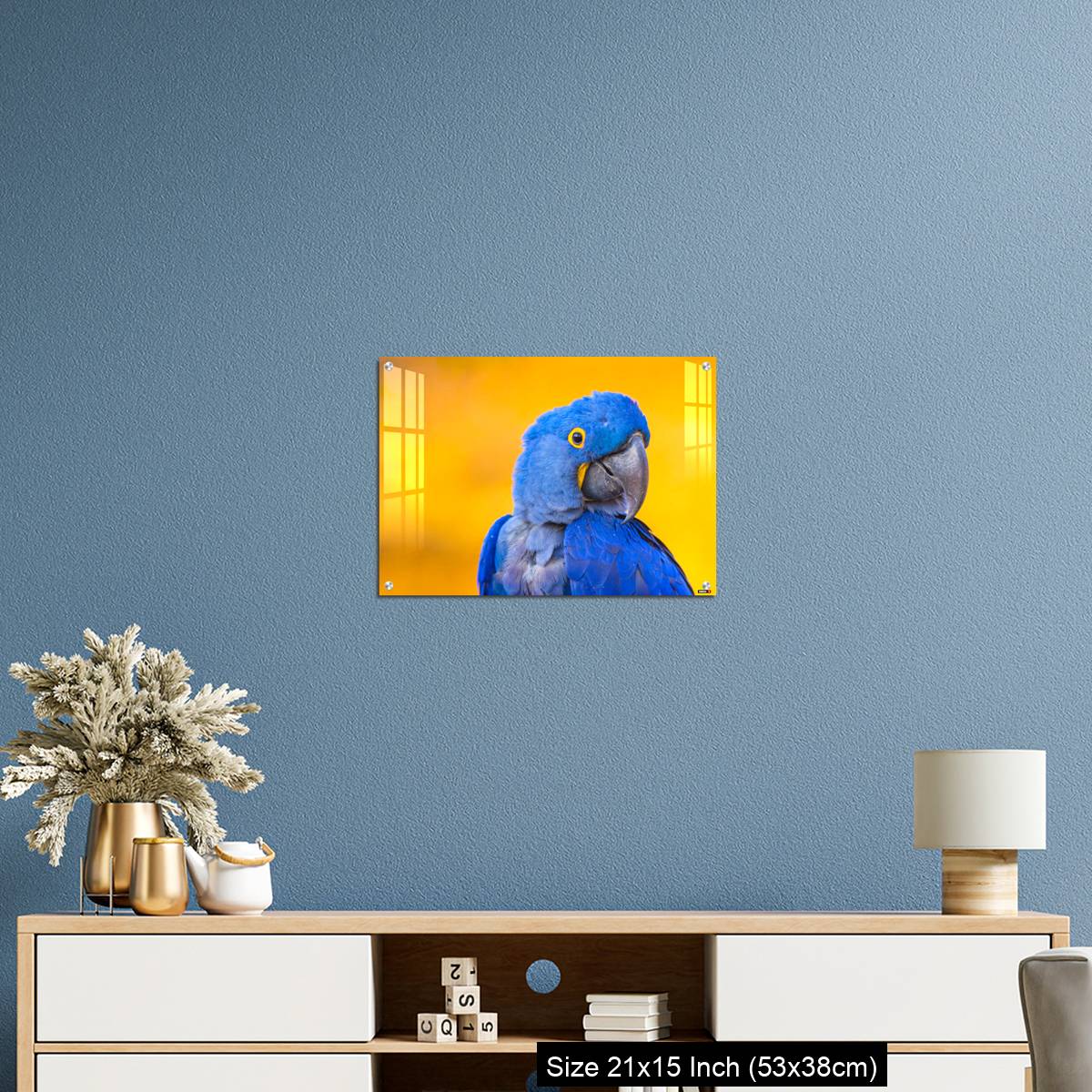 OMGs Acrylic Wall Decor – Portrait of big blue parrot Hyacinth Macaw - Image 17